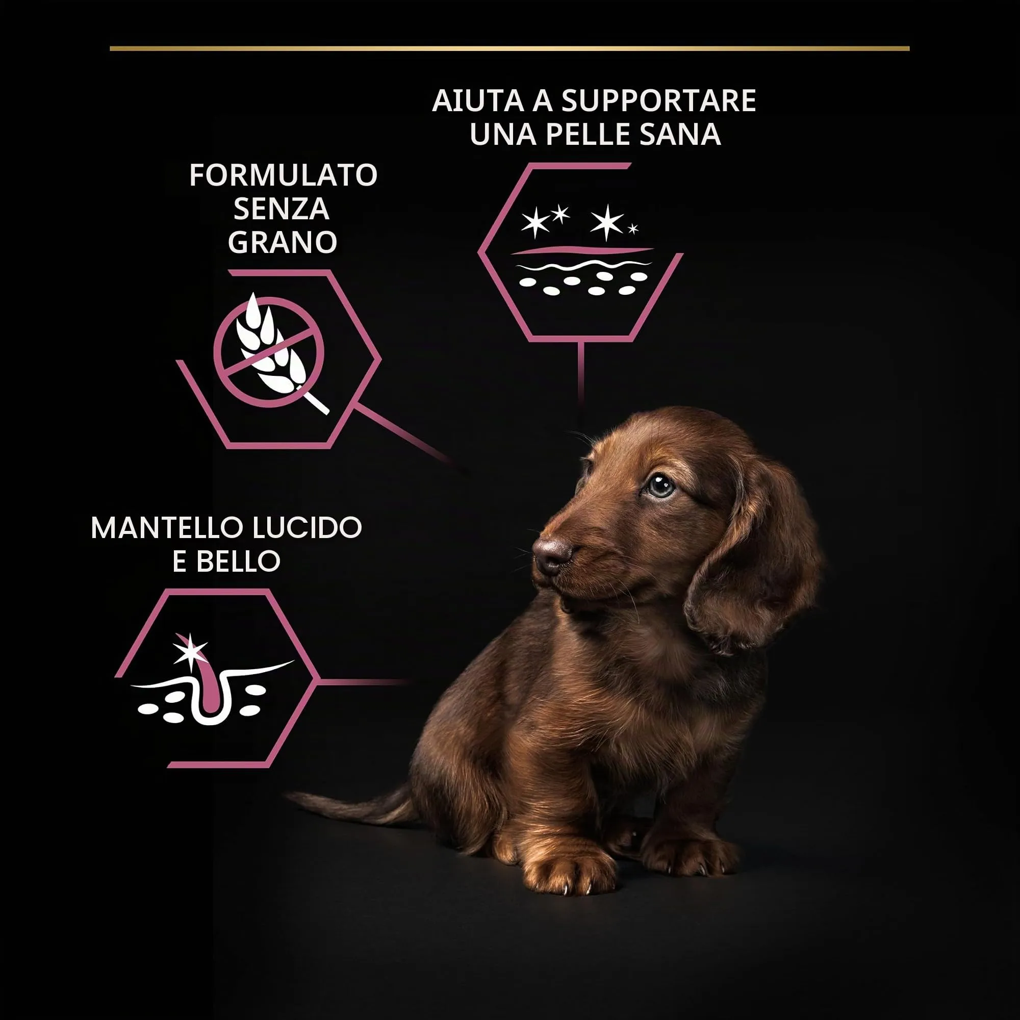 PRO PLAN Cibo secco Optiderma per pelli sensibili per cani piccoli e piccoli adulti, salmone, 3 kg - immagine 5