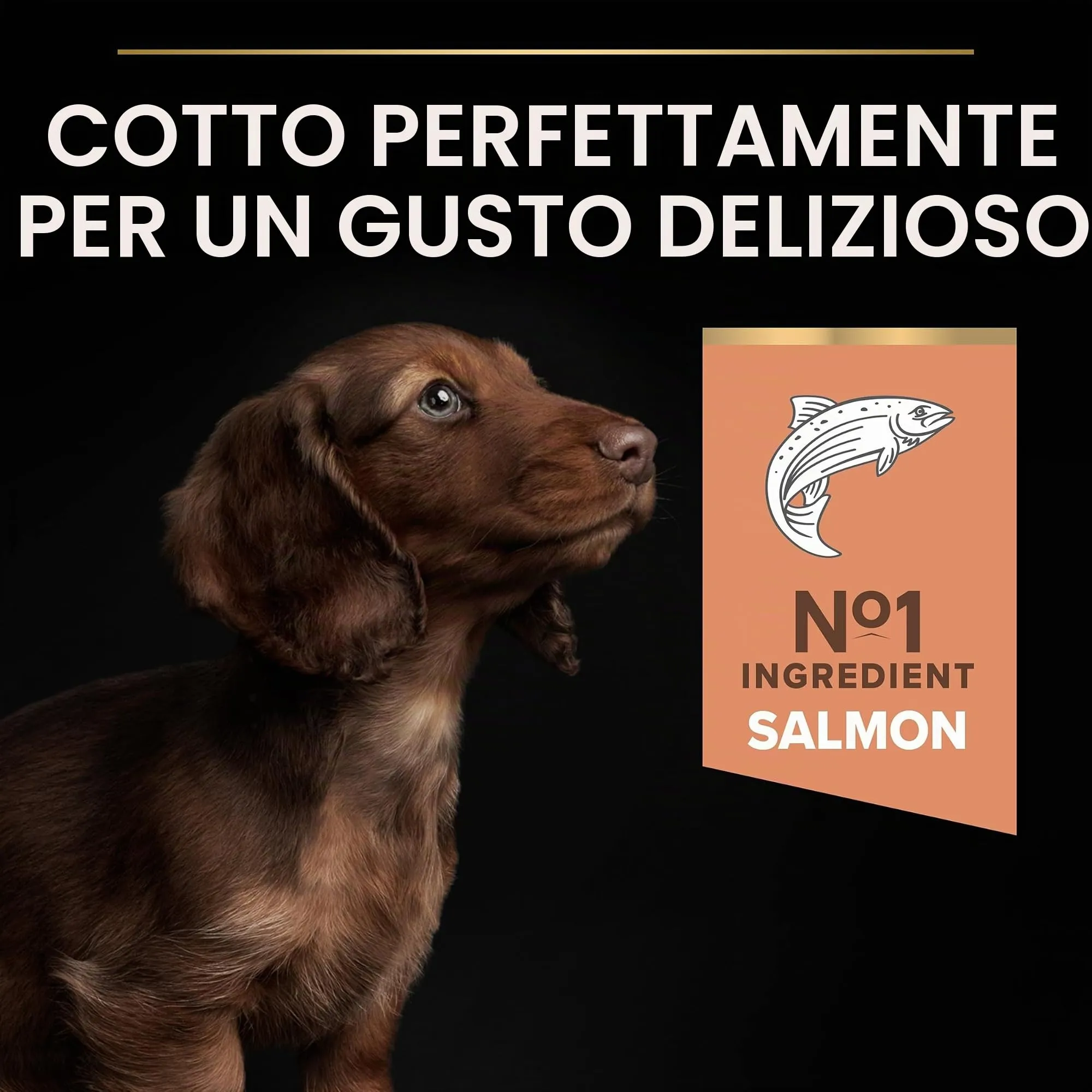 PRO PLAN Cibo secco Optiderma per pelli sensibili per cani piccoli e piccoli adulti, salmone, 3 kg - immagine 6