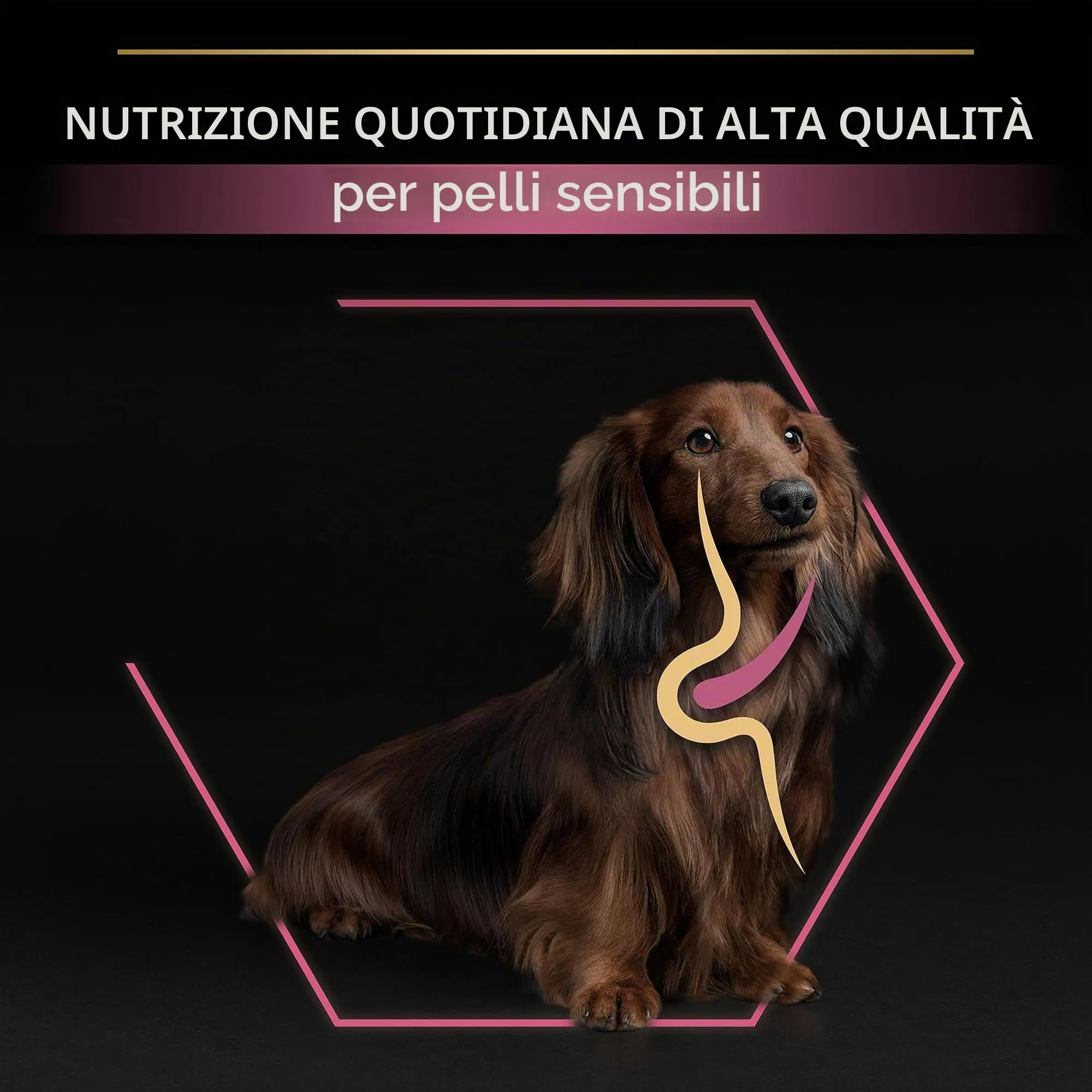 PRO PLAN Cibo secco Optiderma per pelli sensibili per cani piccoli e piccoli adulti, salmone, 3 kg - immagine 7