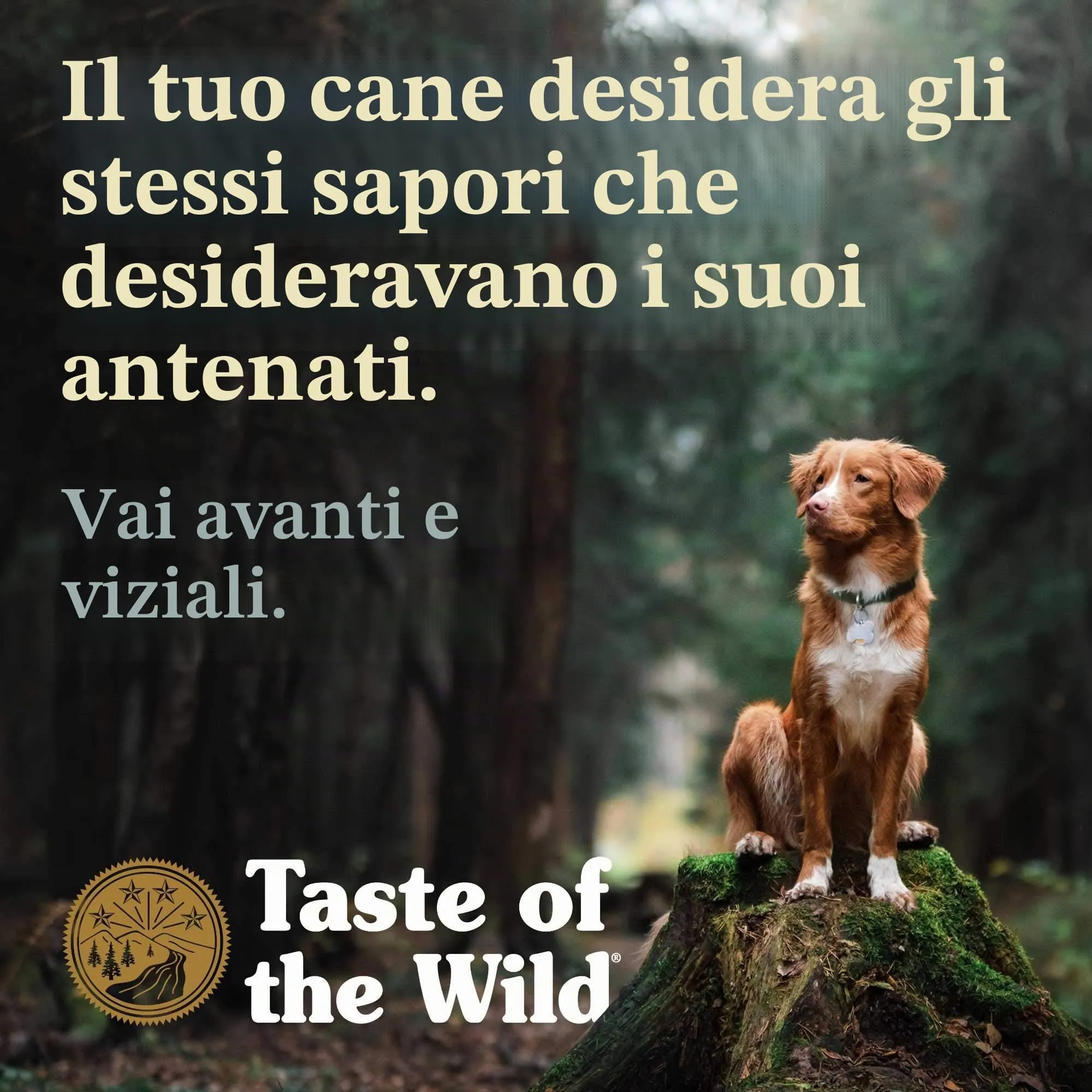 Taste Of The Wild High Prairie Canine - 2 kg - immagine 6