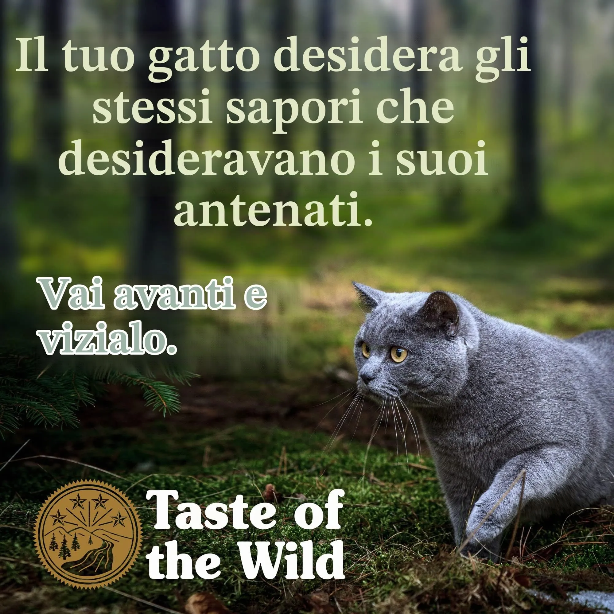Taste Of The Wild Canyon River, Cibo per gatti, 2KG - immagine 5