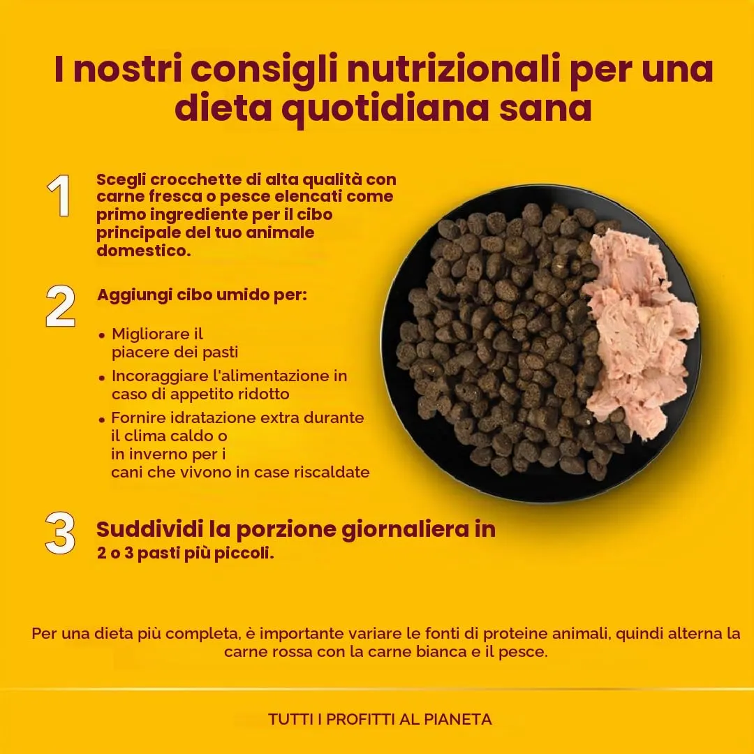 ALMO NATURE Holistic Dog Medium Manzo Secco Cane 2 Kg. Articoli Per Animali - immagine 4