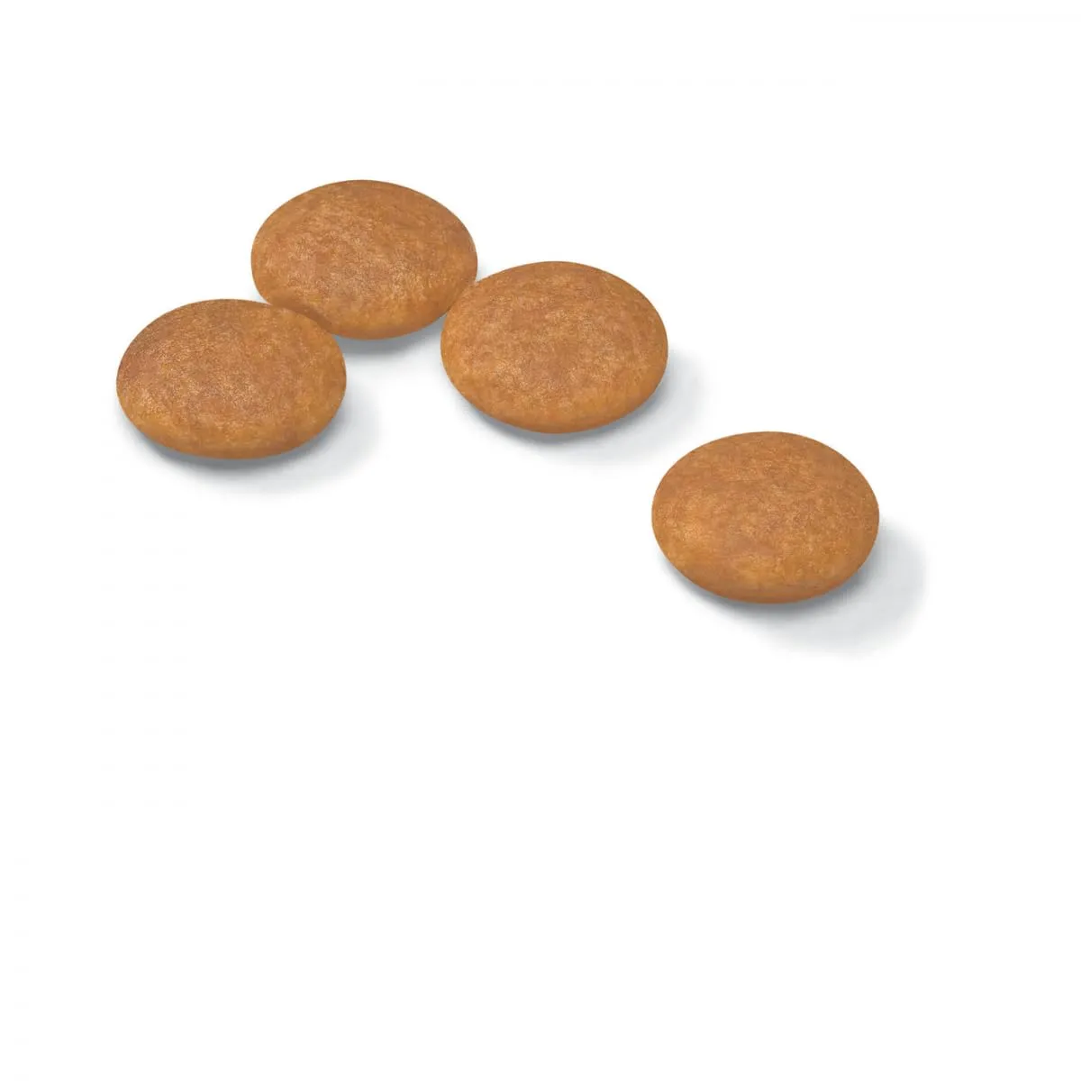 Royal Canin Dermacomfort Mini | 3 kg | Alimento completo per cani adulti di piccola taglia fino a 10 kg | Per il supporto della normale salute della pelle | Con acidi grassi Omega-3 e 6 - immagine 2