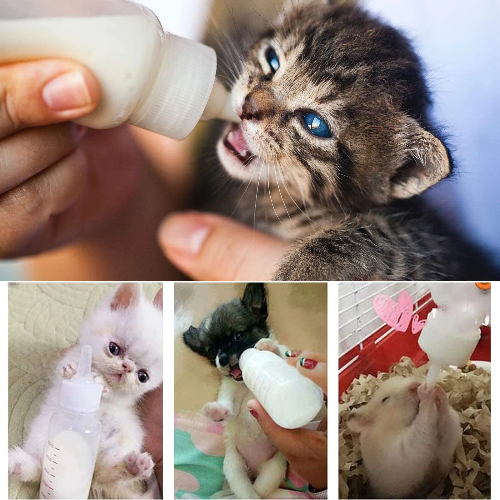 Onebarleycorn - Biberon per Gattini Neonati 60ml,Biberon Gattino Animali con 4 Capezzoli e 1 Spazzole per Pulizia Kit Bottiglia per Animali da Compagnia per Cane Gatto per Cucciolo Gattino - immagine 7