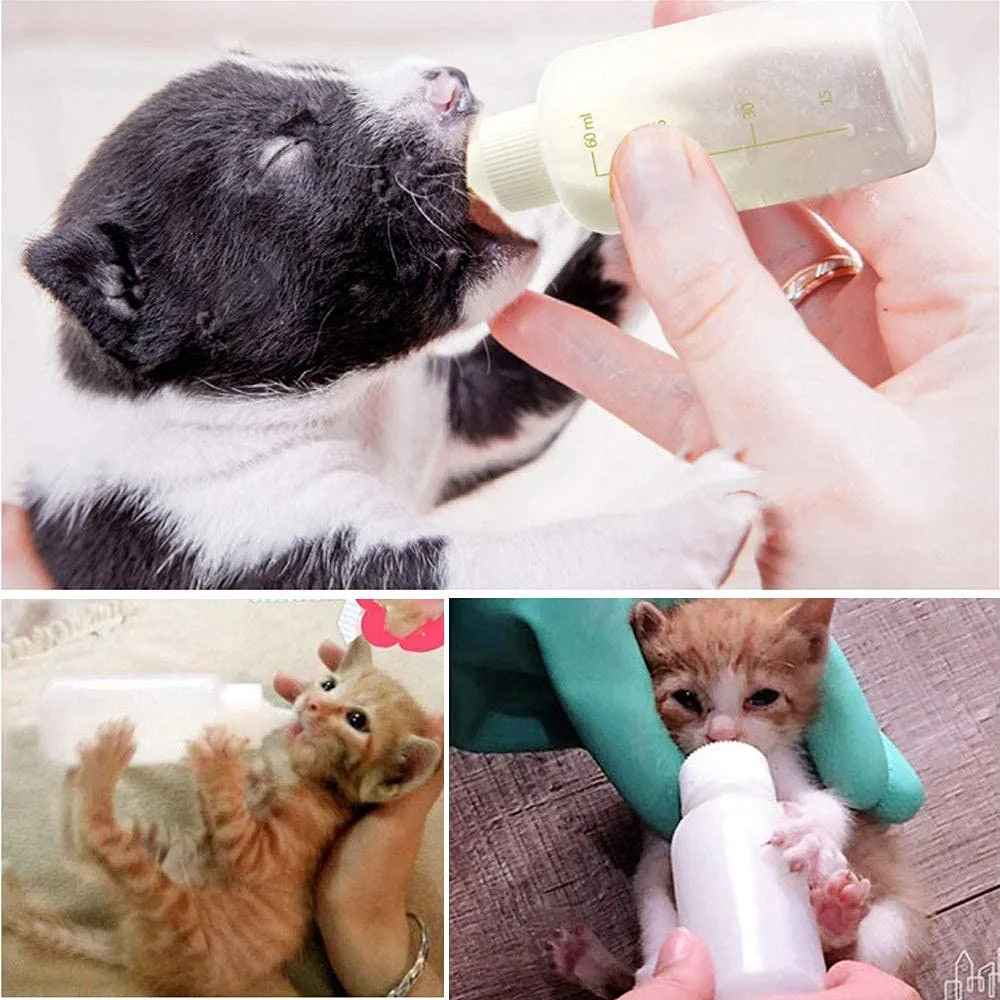 Onebarleycorn - Biberon per Gattini Neonati 60ml,Biberon Gattino Animali con 4 Capezzoli e 1 Spazzole per Pulizia Kit Bottiglia per Animali da Compagnia per Cane Gatto per Cucciolo Gattino - immagine 9