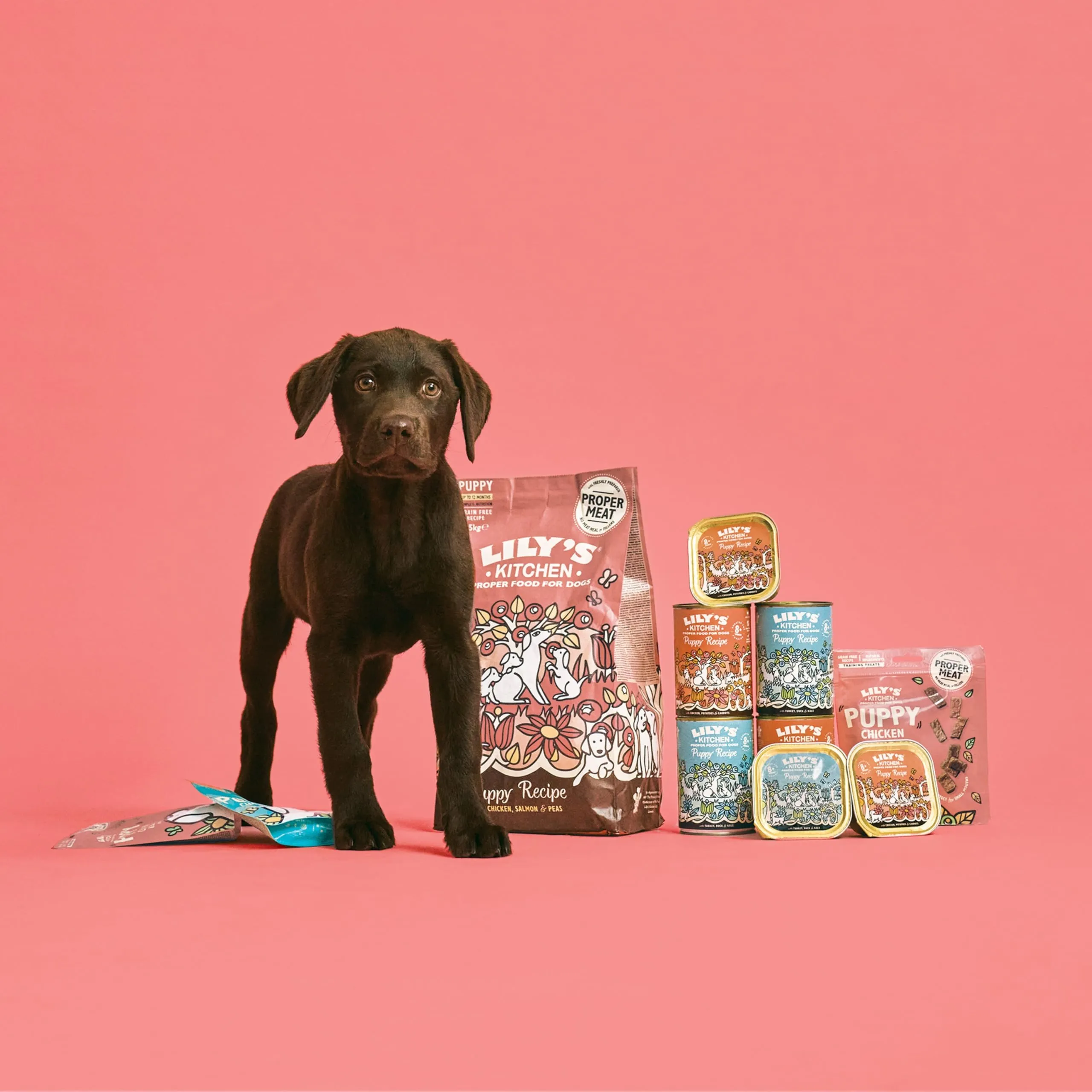 Lily's Kitchen Preparati con ingredienti naturali Bocconcini per cani cuccioli al pollo con salmone Ricetta senza cereali 8 x 70g - immagine 2