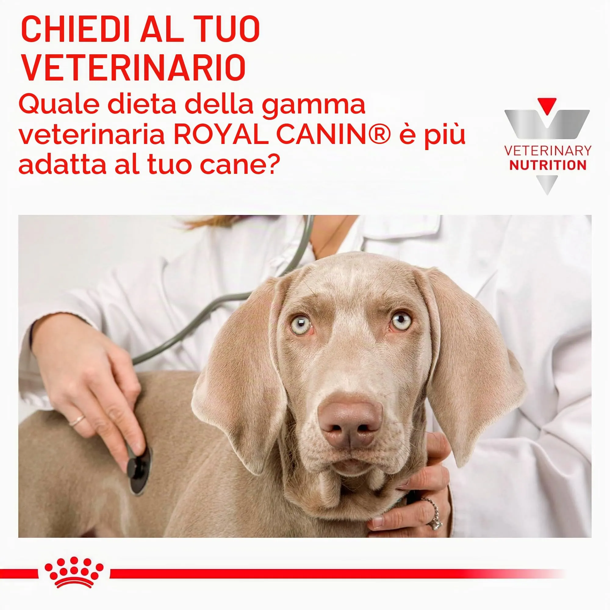 Veterinary Hepatic Mousse | Cibo umido per cani | 12 x 200 g | Dieta epatica - immagine 4