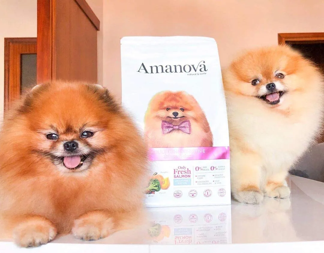 Amanova Cibo Secco Super Premium per Cani di Taglia Piccola con Pelle e Pelo sensibili Gusto Salmone - 100% Naturale, ipoallergenico e monoproteico - Grain Free - Cruelty Free - Formato da 7 kg - immagine 7