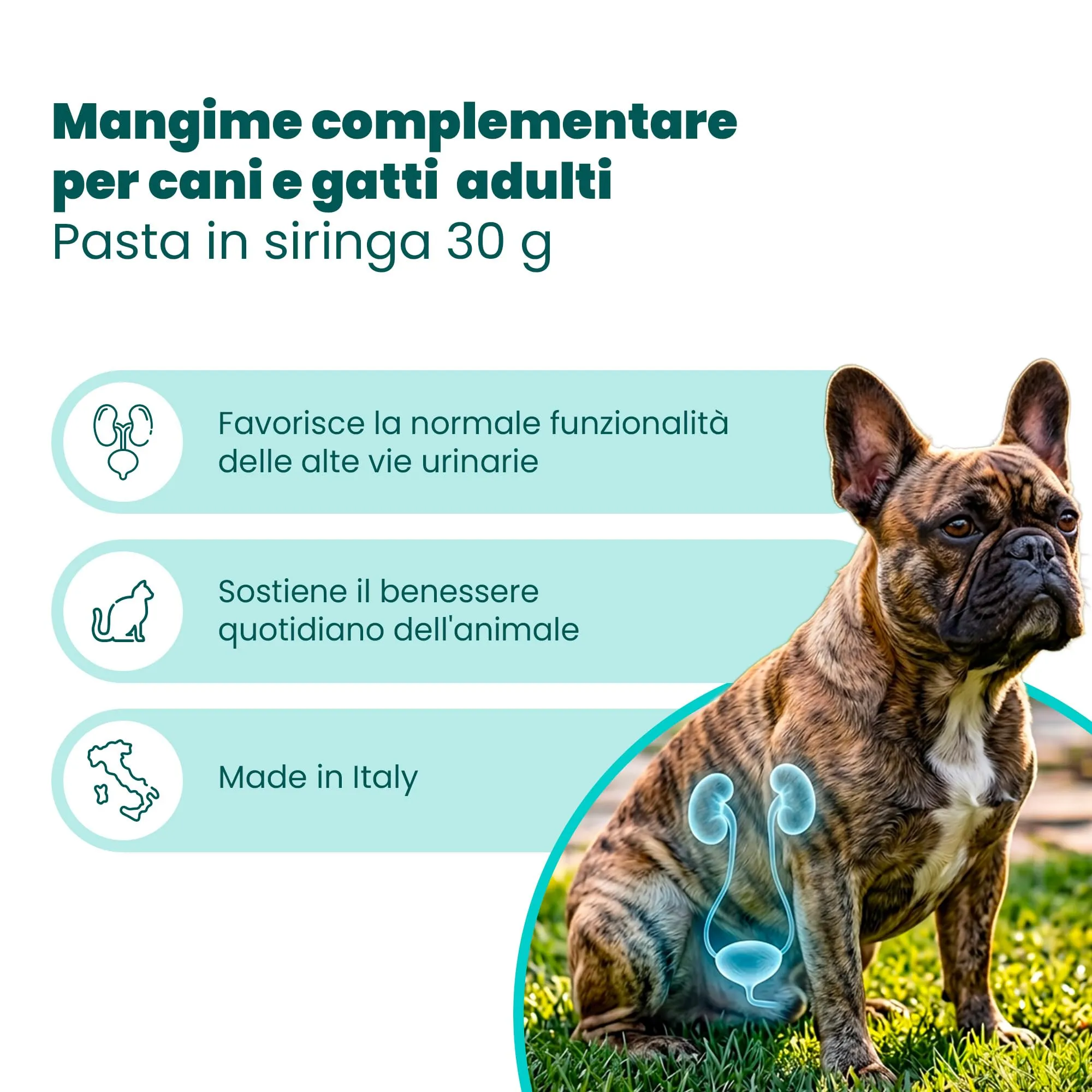 CAMON - Help-Nefro Pasta in Siringa da 30g, Insufficienza Renale - immagine 2