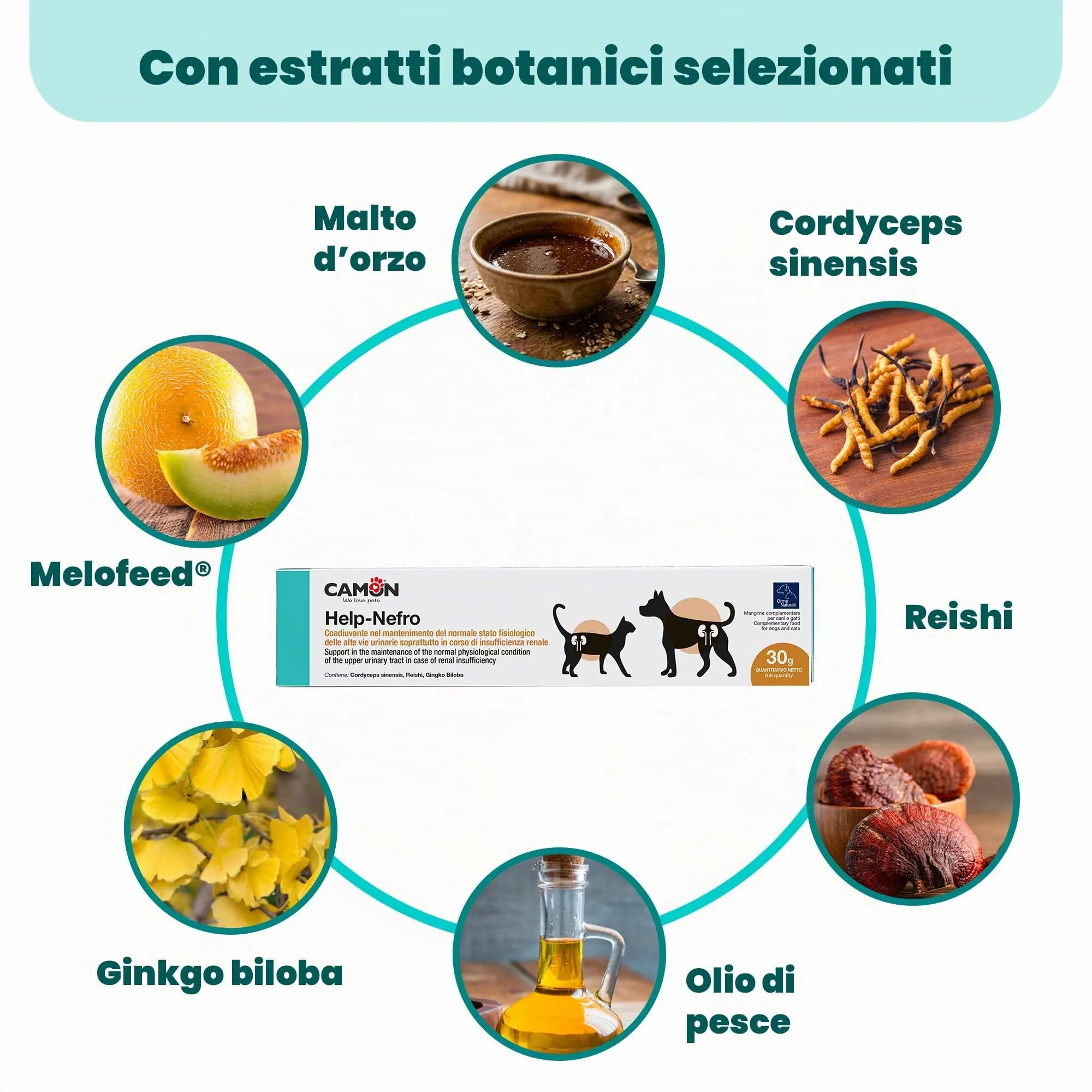 CAMON - Help-Nefro Pasta in Siringa da 30g, Insufficienza Renale - immagine 3