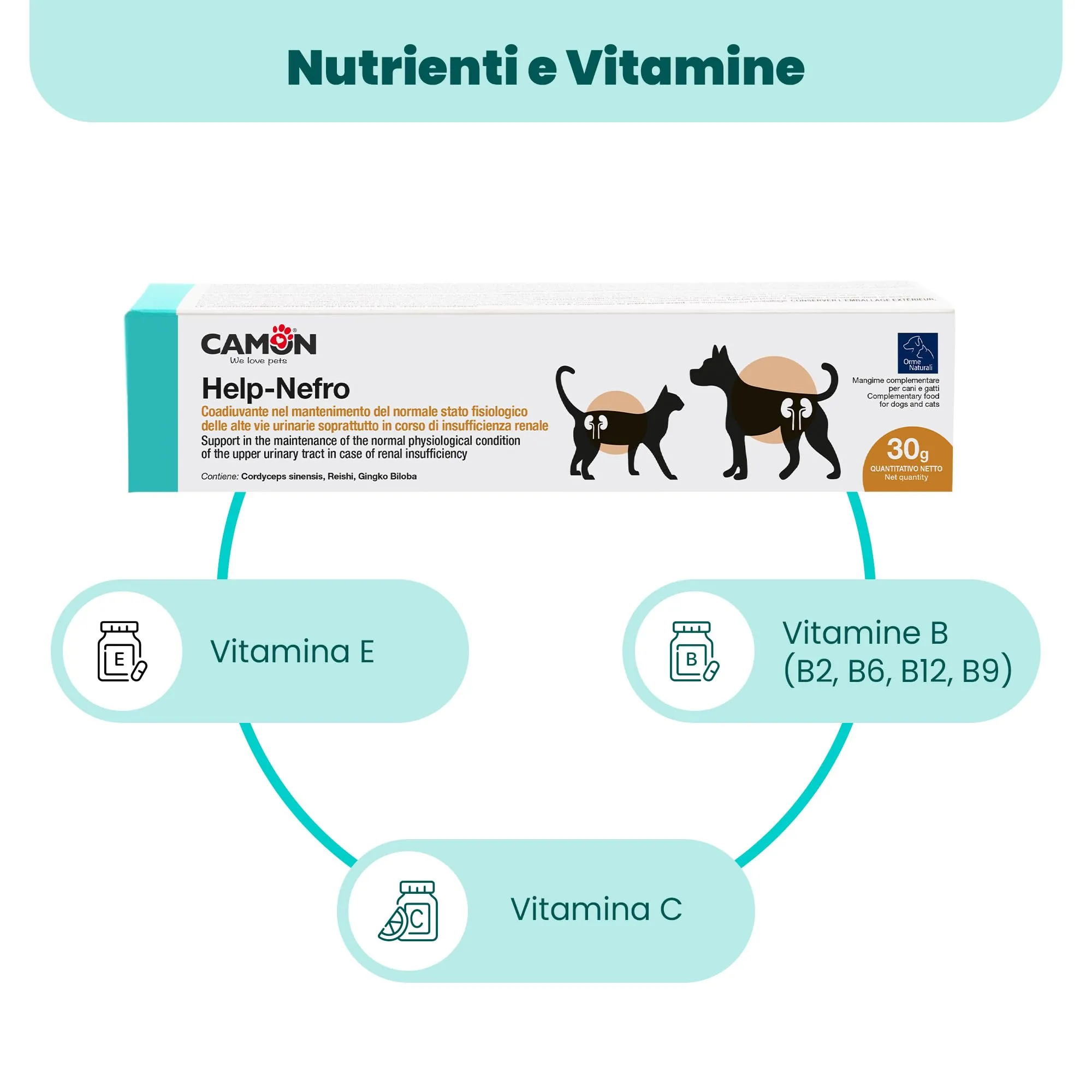 CAMON - Help-Nefro Pasta in Siringa da 30g, Insufficienza Renale - immagine 4