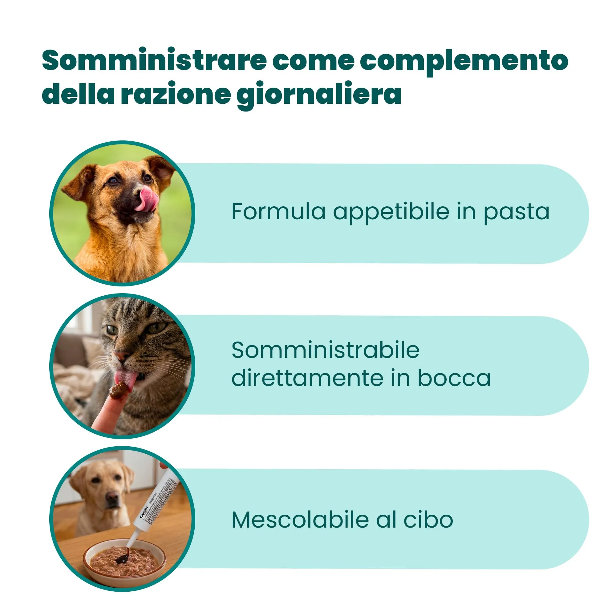 CAMON - Help-Nefro Pasta in Siringa da 30g, Insufficienza Renale - immagine 6