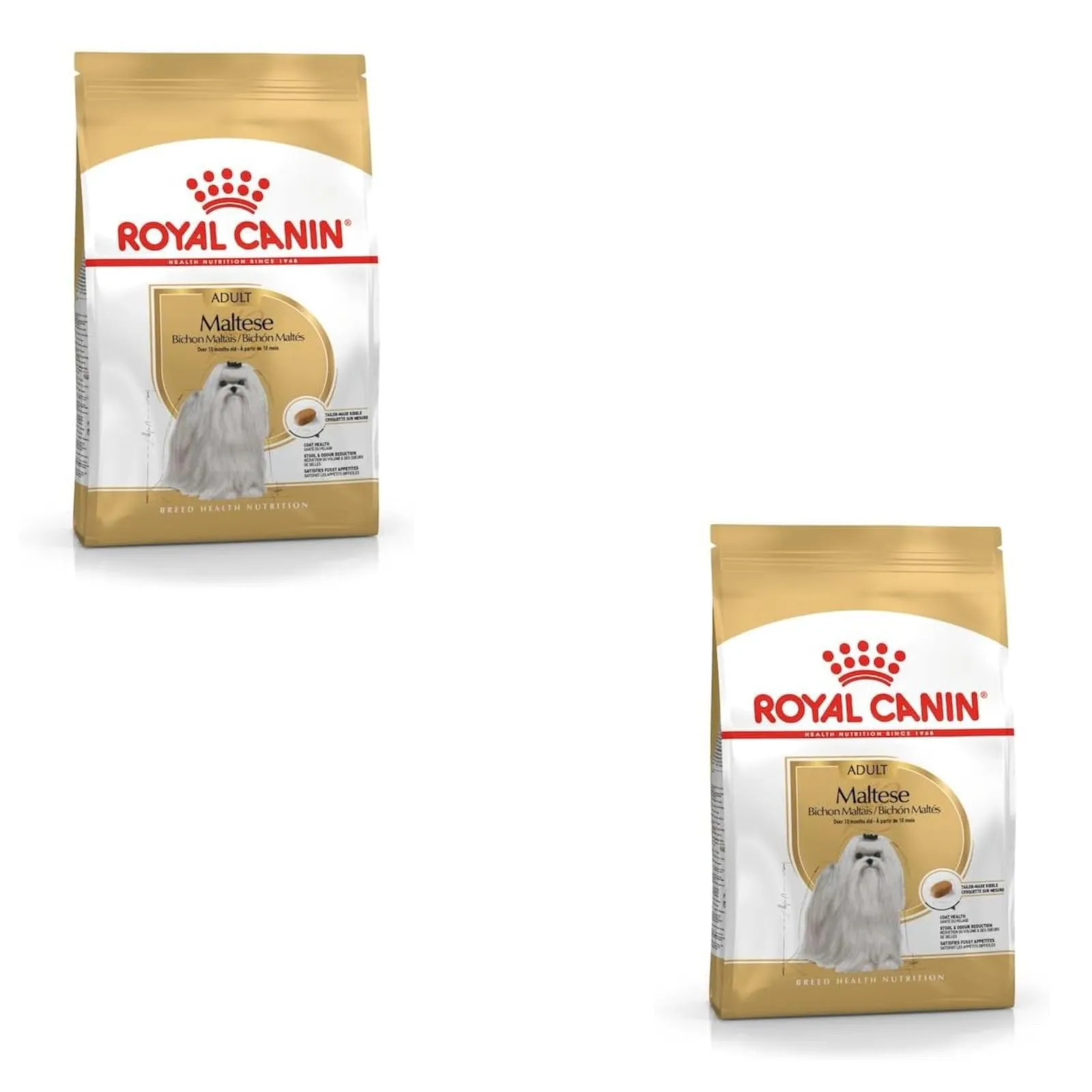 Royal Canin Maltese Adult | Confezione Doppia | 2 x 500 g | Cibo secco per Maltesi adulti | Per sostenere il pelo e la digestione | Per cani a partire dai 10 mesi - immagine 1