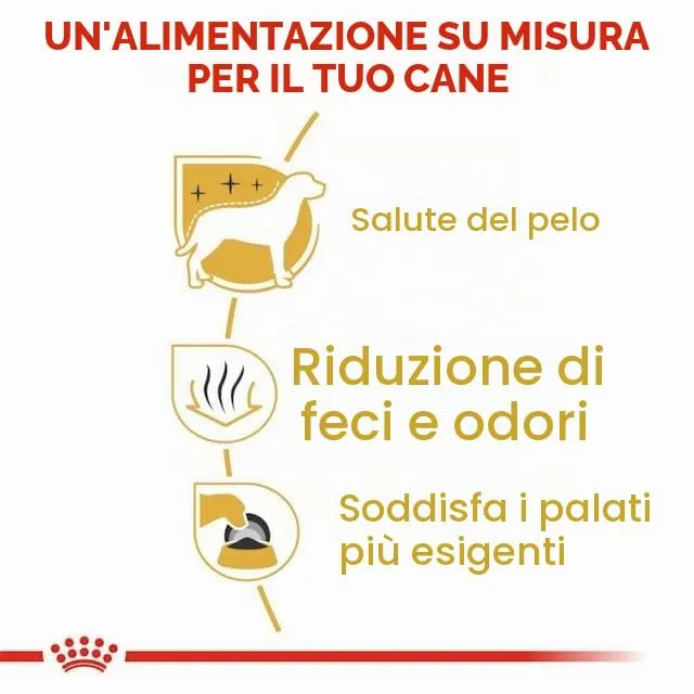 Royal Canin Maltese Adult | Confezione Doppia | 2 x 500 g | Cibo secco per Maltesi adulti | Per sostenere il pelo e la digestione | Per cani a partire dai 10 mesi - immagine 7