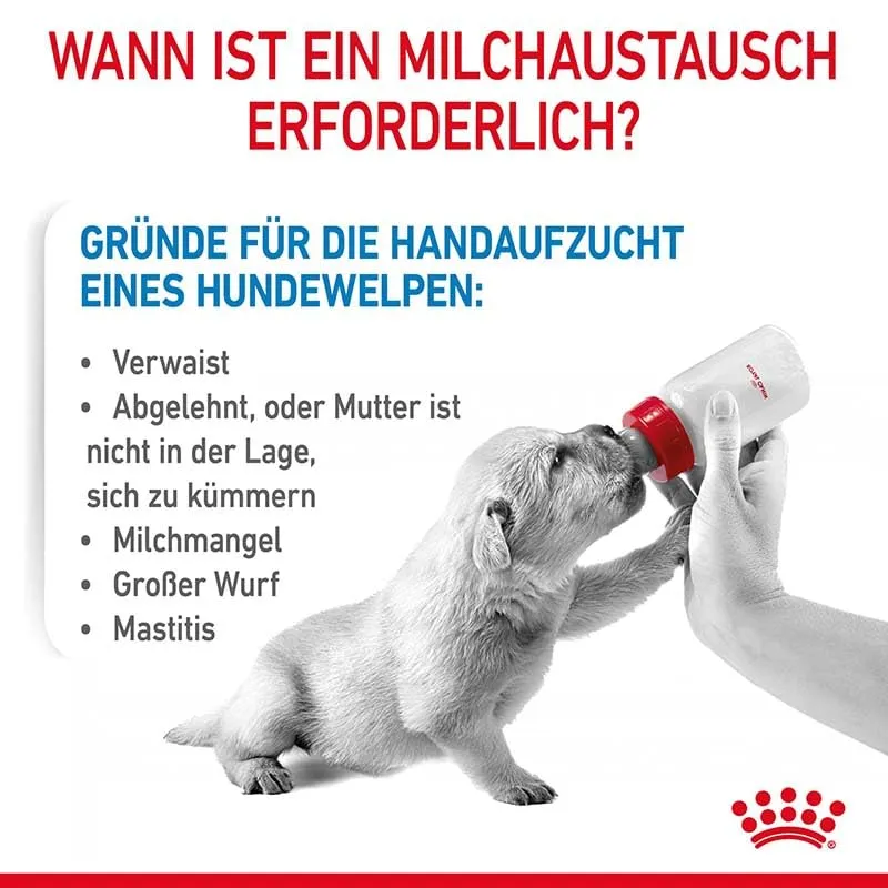 Royal Canin Babydog Milk | Confezione doppia | 2 x 4 x 100 g | Latte in polvere per cuccioli | Per il supporto digestivo | Contenuto di lattosio adeguato | Proteine altamente digeribili - immagine 5