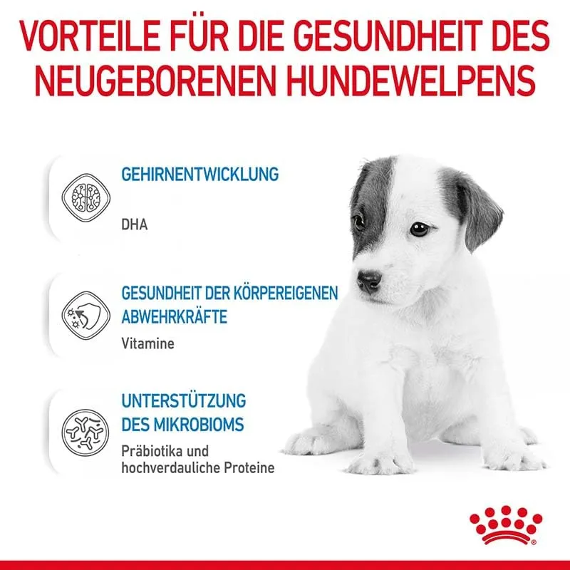Royal Canin Babydog Milk | Confezione doppia | 2 x 4 x 100 g | Latte in polvere per cuccioli | Per il supporto digestivo | Contenuto di lattosio adeguato | Proteine altamente digeribili - immagine 7