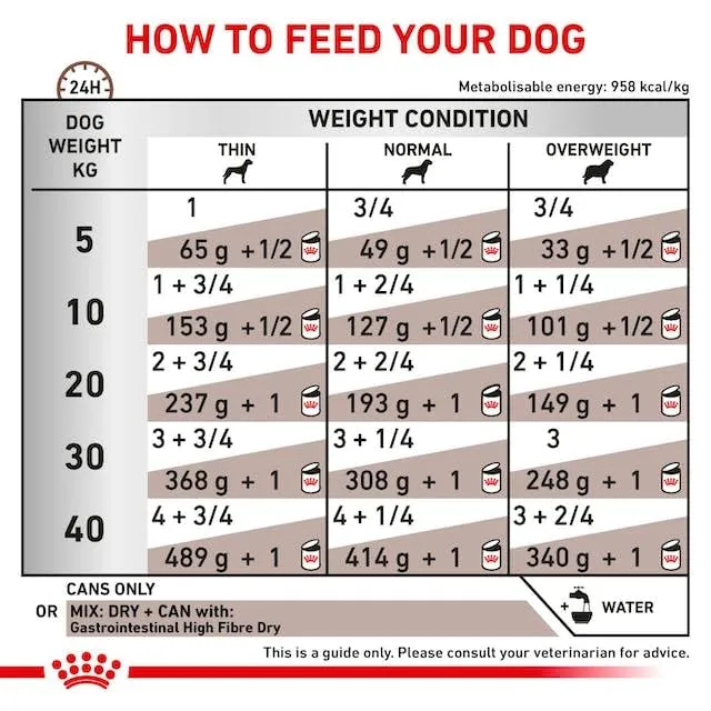 Royal Canin Veterinary Gastrointestinal High Fibre Mousse | 12 x 200 g | Mangime completo dietetico per cani adulti | Per favorire una sana digestione | Con fibre alimentari - immagine 6