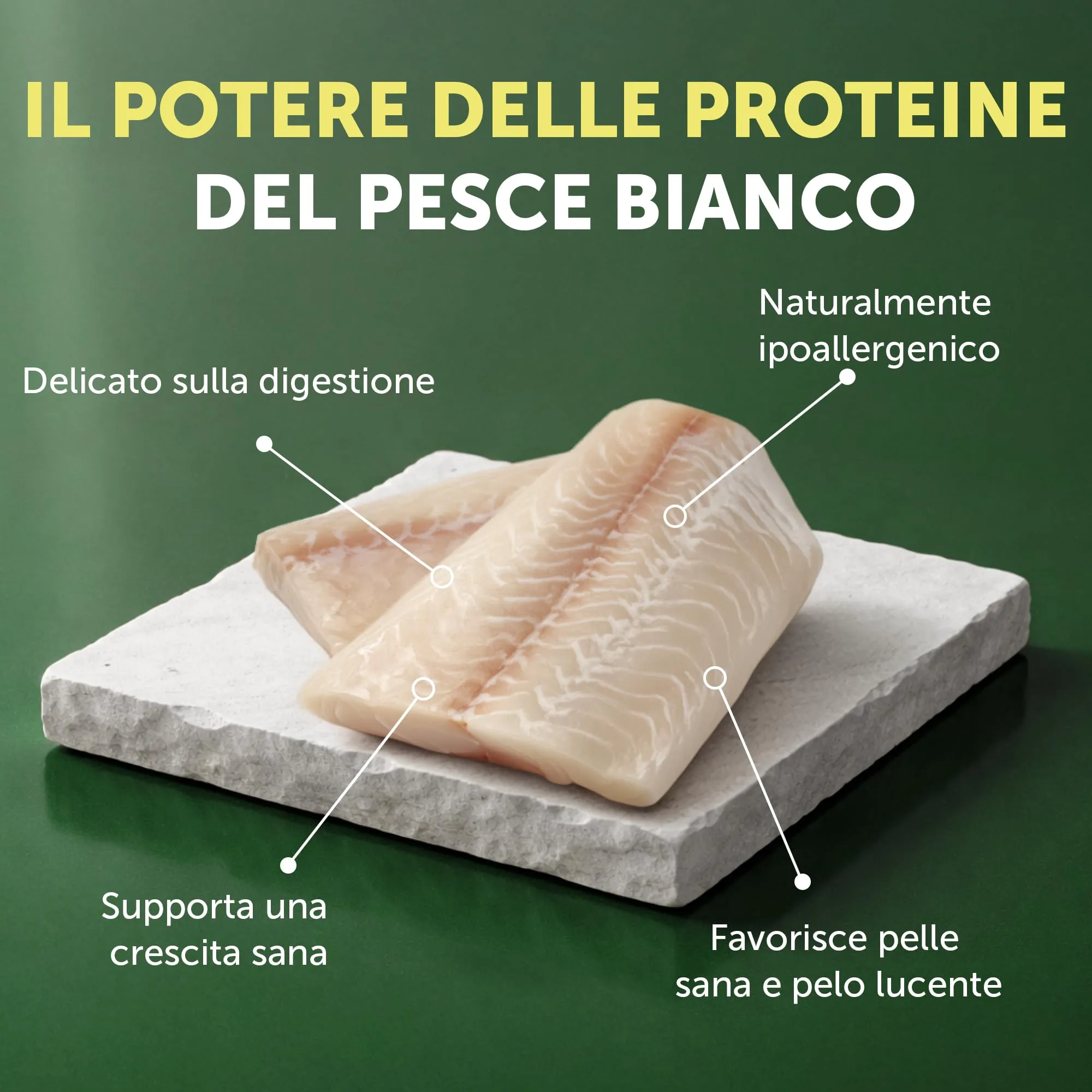 Nature's Protection Superior Care per cuccioli, Pesce bianco e riso 4 kg - immagine 4