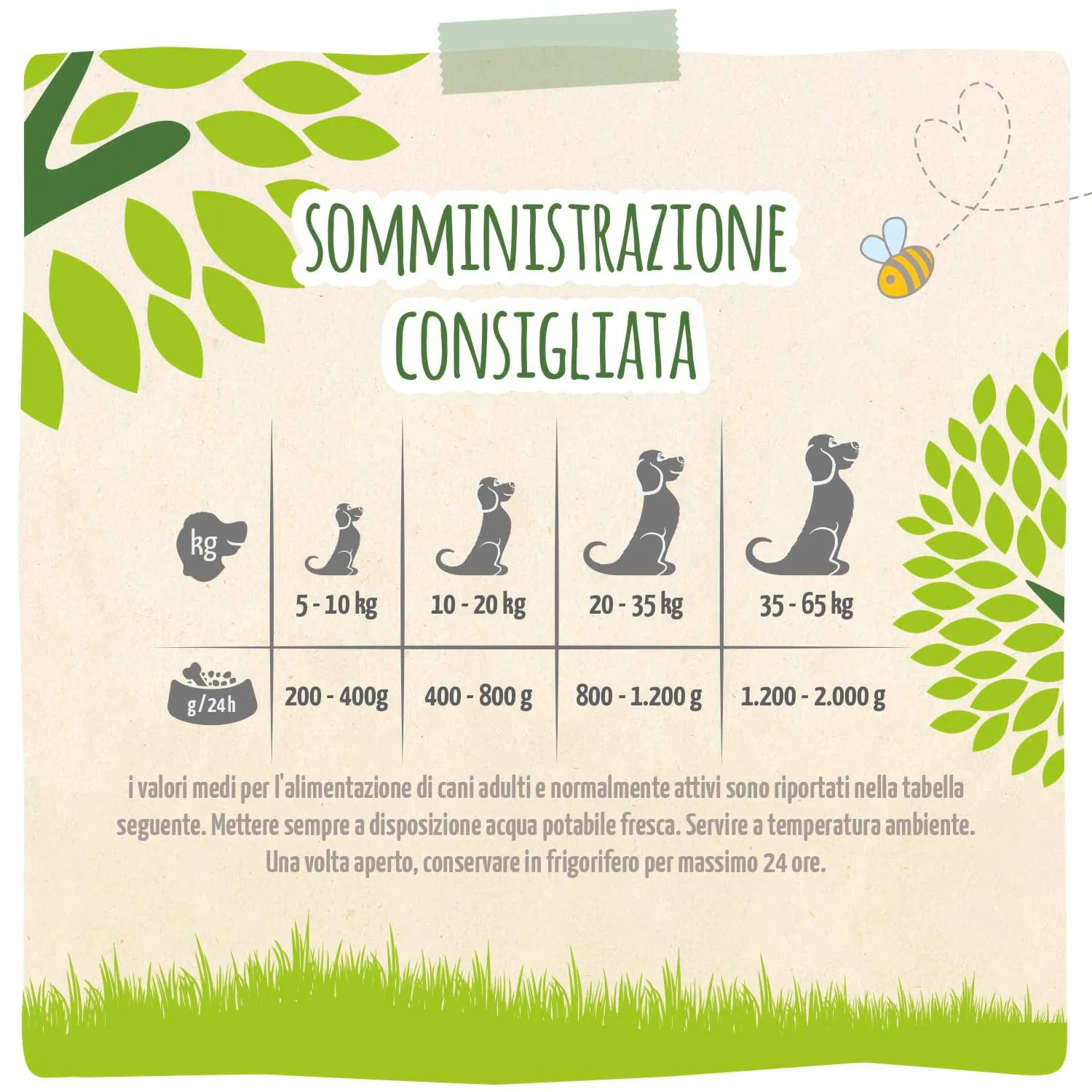 MjAMjAM - Cibo umido premium per cani - naturalmente delizioso - manzo BIO con zucchine, confezione da 6 (6 x 200 g), senza cereali con carne extra - immagine 3