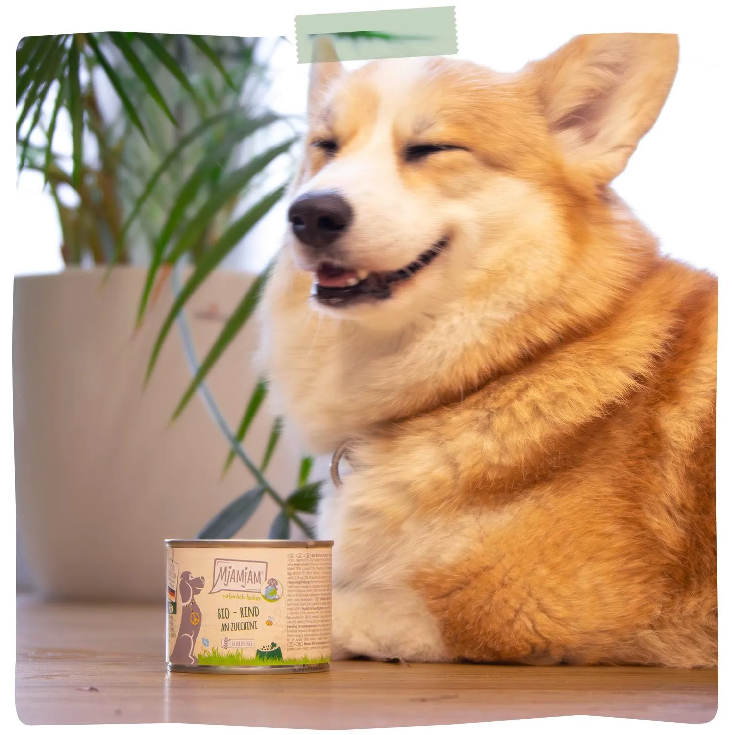 MjAMjAM - Cibo umido premium per cani - naturalmente delizioso - manzo BIO con zucchine, confezione da 6 (6 x 400 g), senza cereali con carne extra - immagine 6