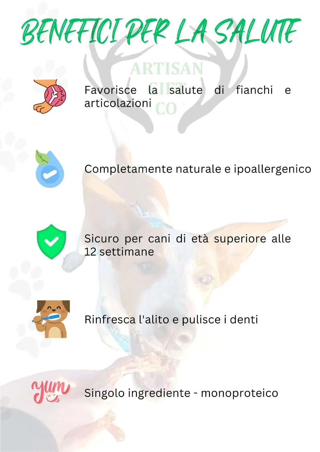 Colli di pollo Essicati per Cani, 250 g. - immagine 3