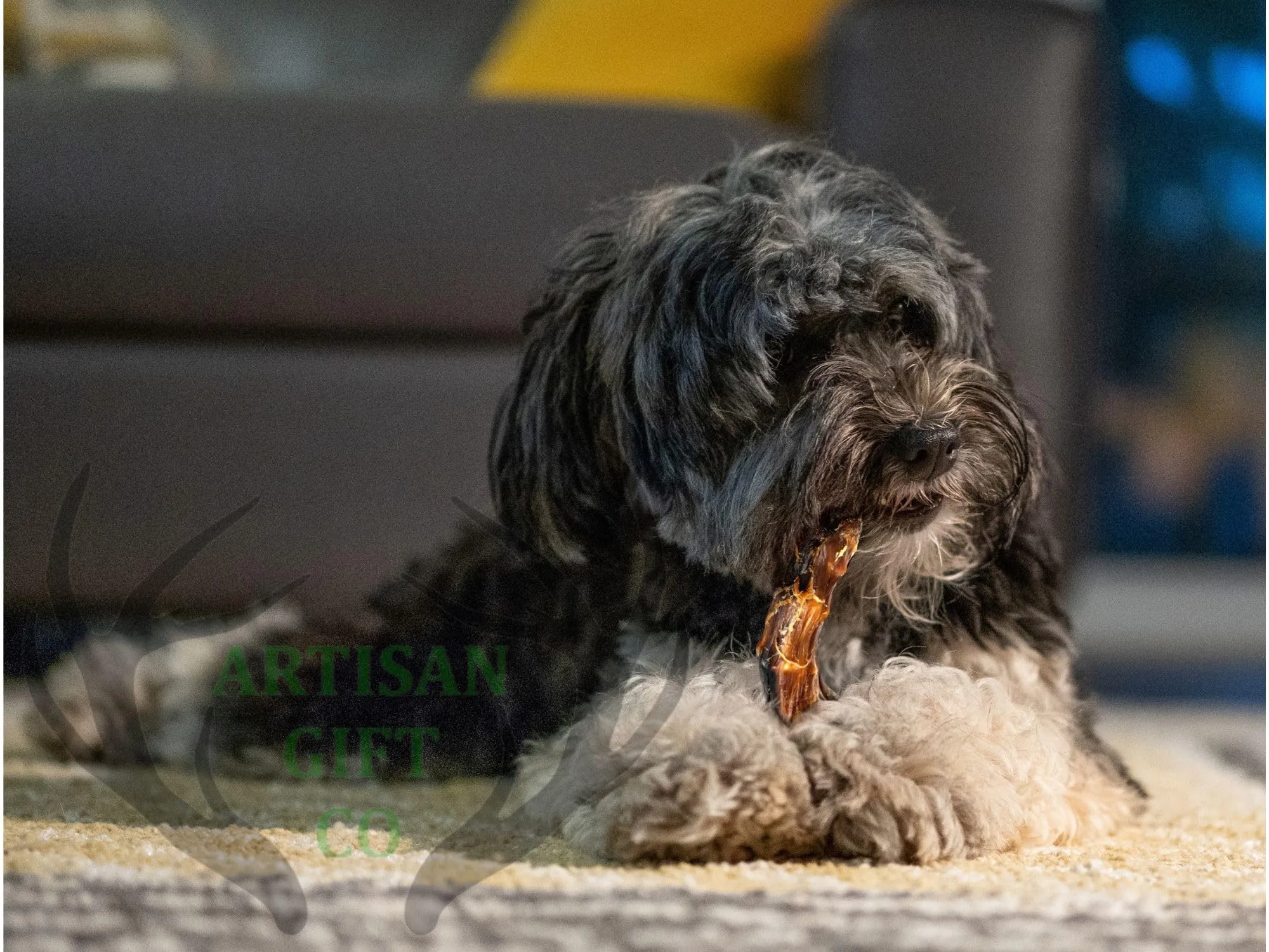 Colli di pollo Essicati per Cani, 250 g. - immagine 7