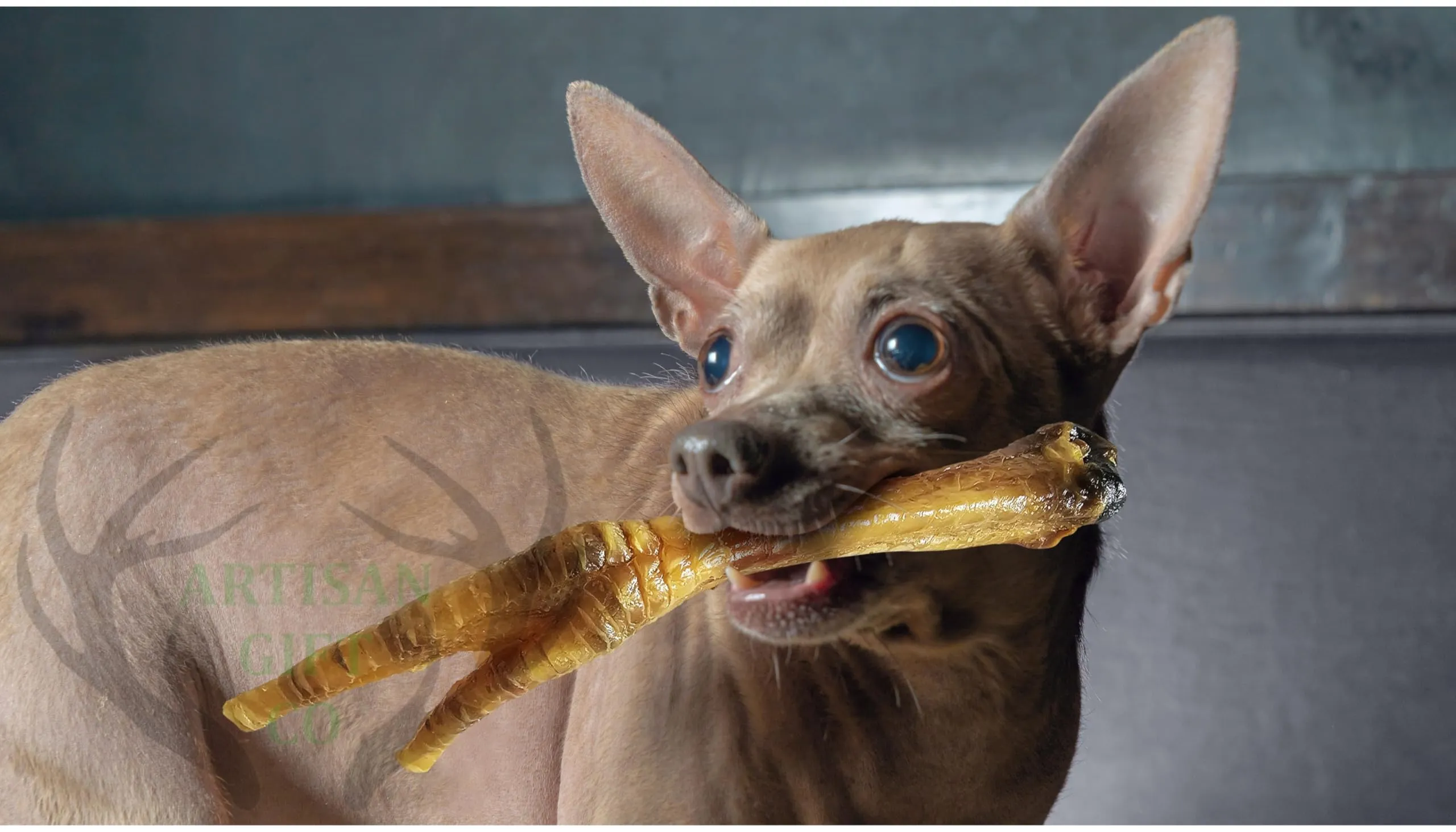 Zampe di Pollo per cani, 250 g. - immagine 5