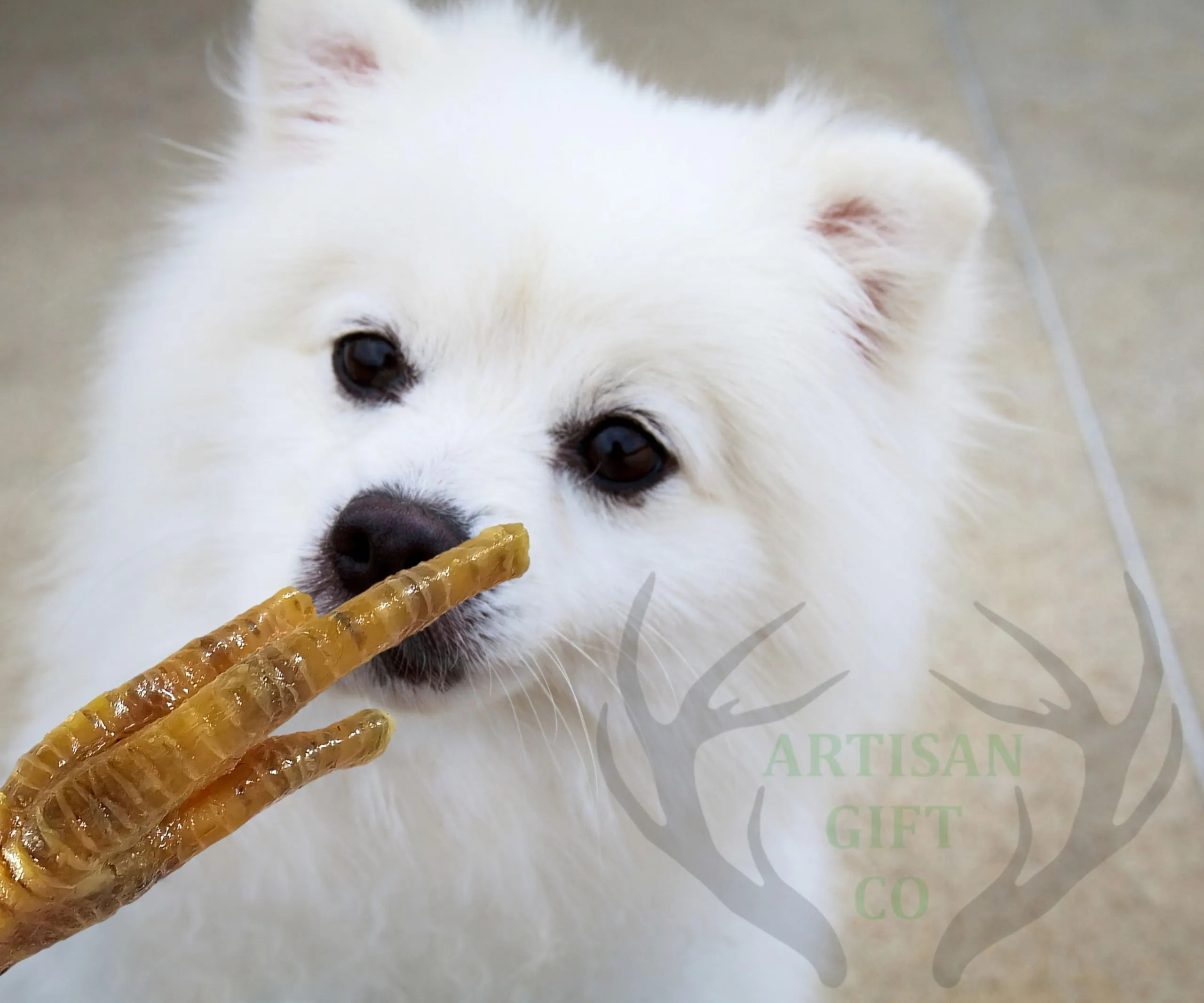 Zampe di Pollo per cani, 250 g. - immagine 7