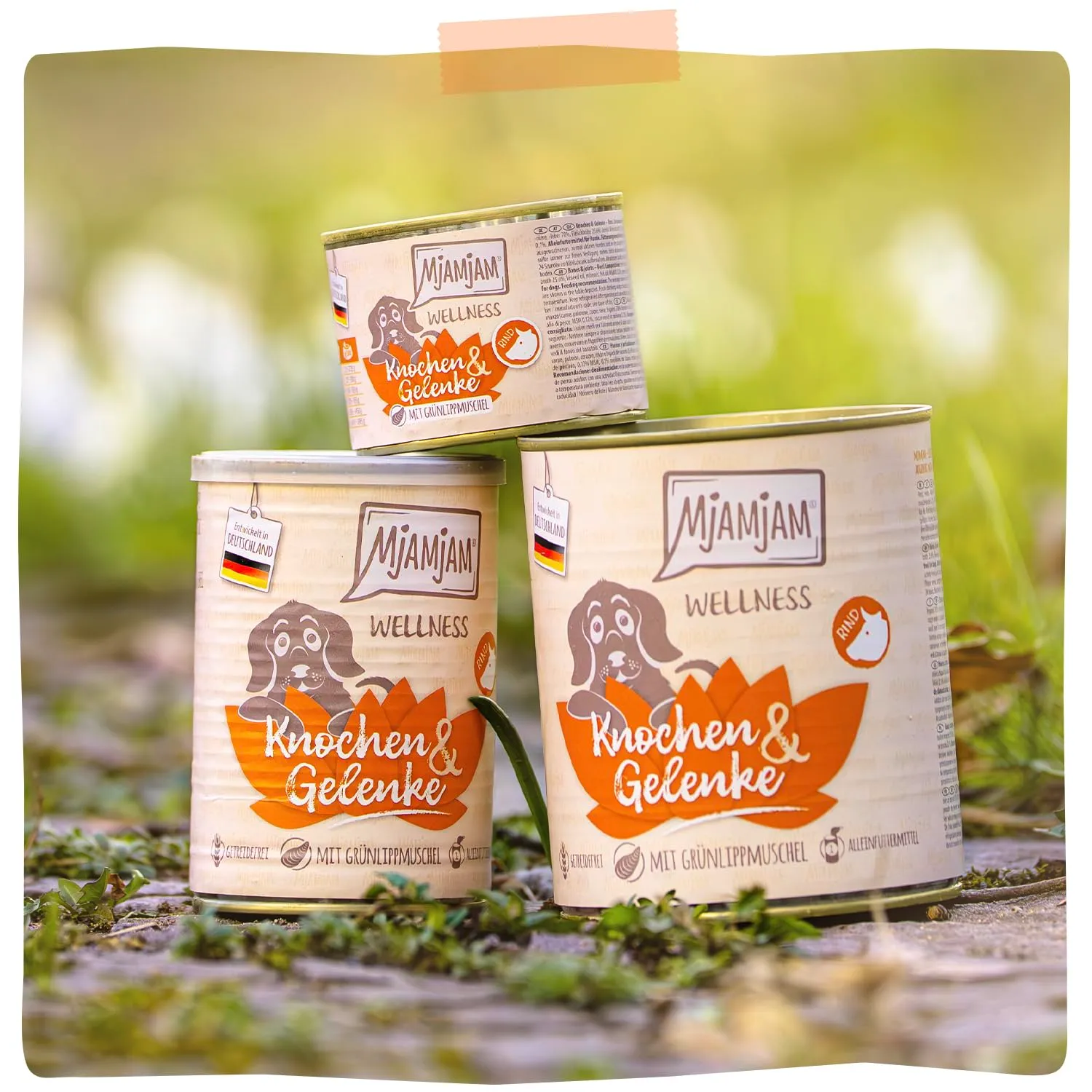 MjAMjAM - Cibo umido premium per cani - Benessere - Ossa e articolazioni - Beef, confezione da 6 (6x200g), senza cereali - immagine 6