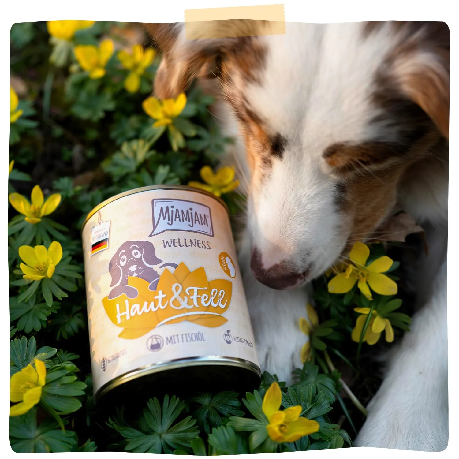 MjAMjAM - Cibo umido premium per cani - Benessere - Pelle e pelo - Pollo, confezione da 6 (6x200g), senza cereali - immagine 6