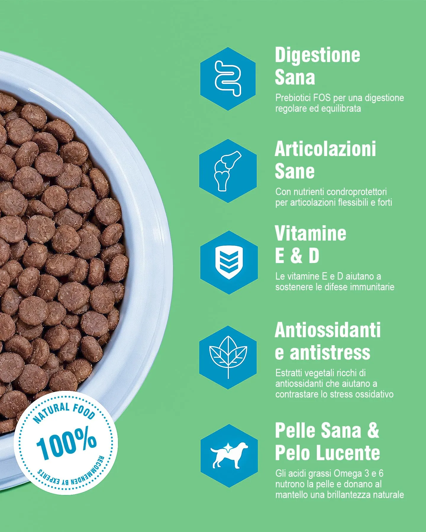 REVER Cibo Secco per Cani Adulti Senza Cereali con Salmone Fresco - immagine 4