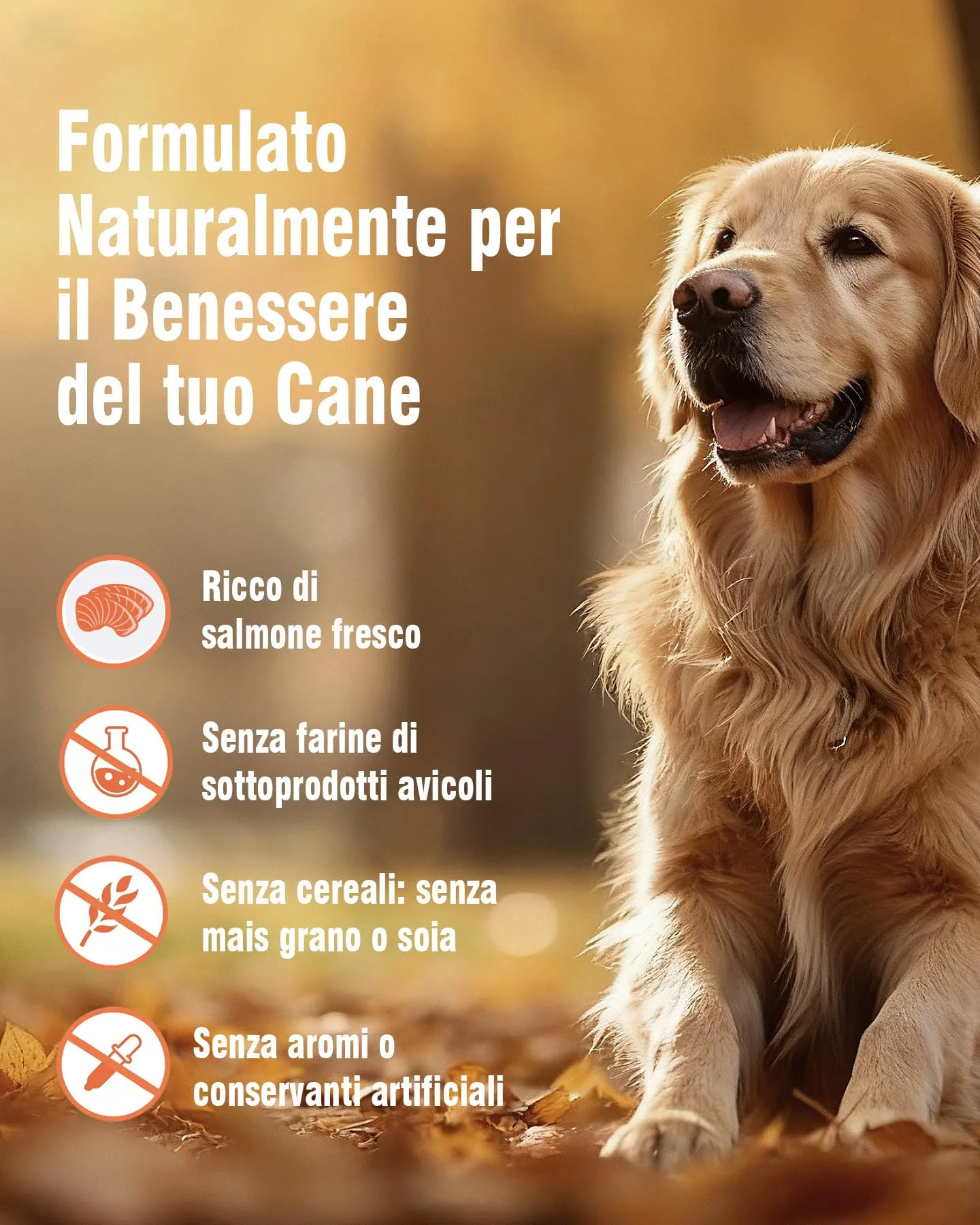 REVER Cibo Secco per Cani Adulti Senza Cereali con Salmone Fresco - immagine 5