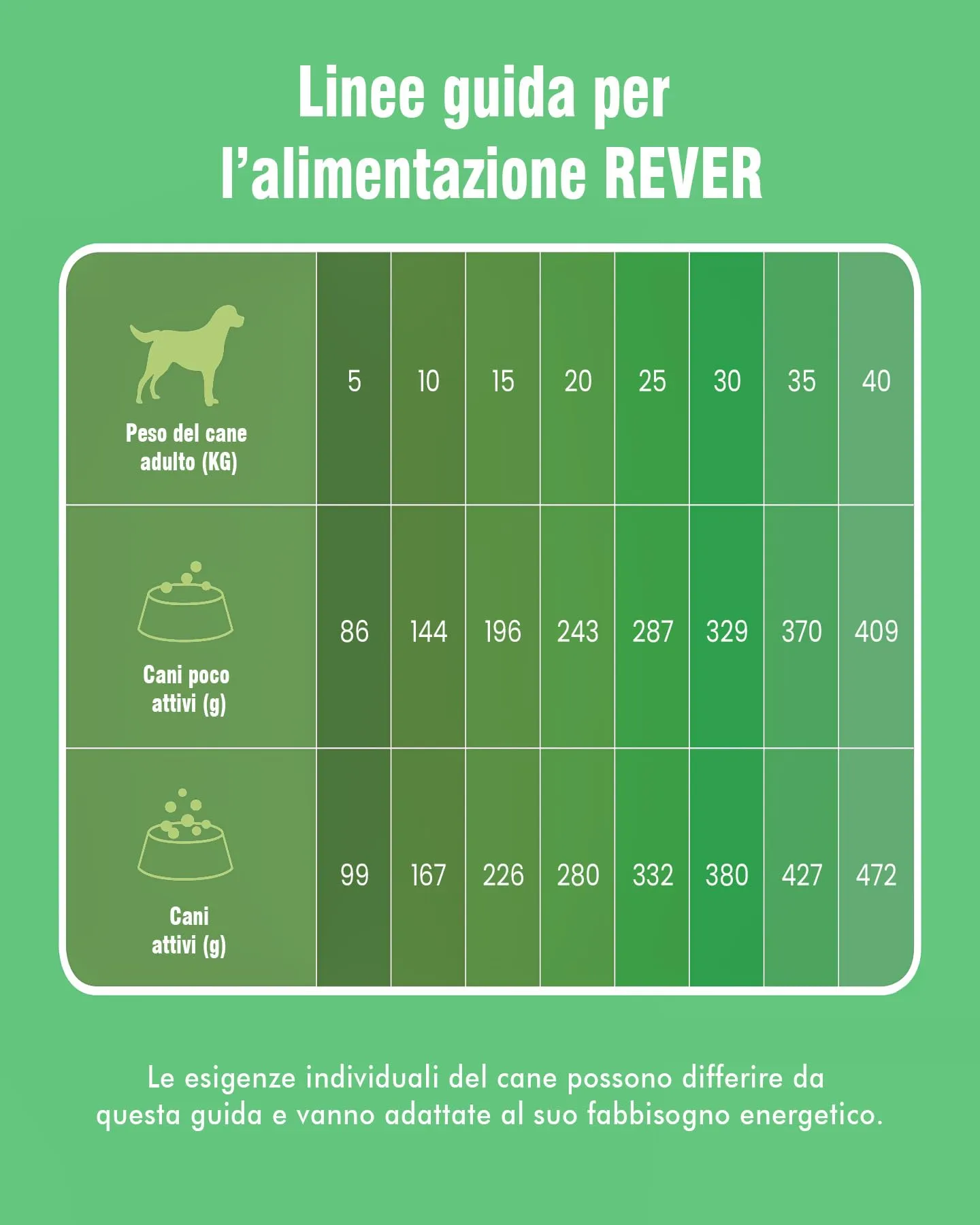 REVER Cibo Secco per Cani Adulti Senza Cereali con Salmone Fresco - immagine 8
