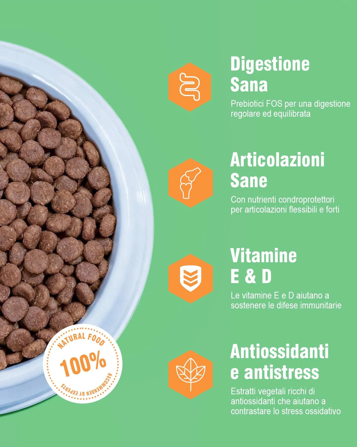REVER Crocchette per Cani Adulti Senza Cereali con Pollo Fresco - immagine 4