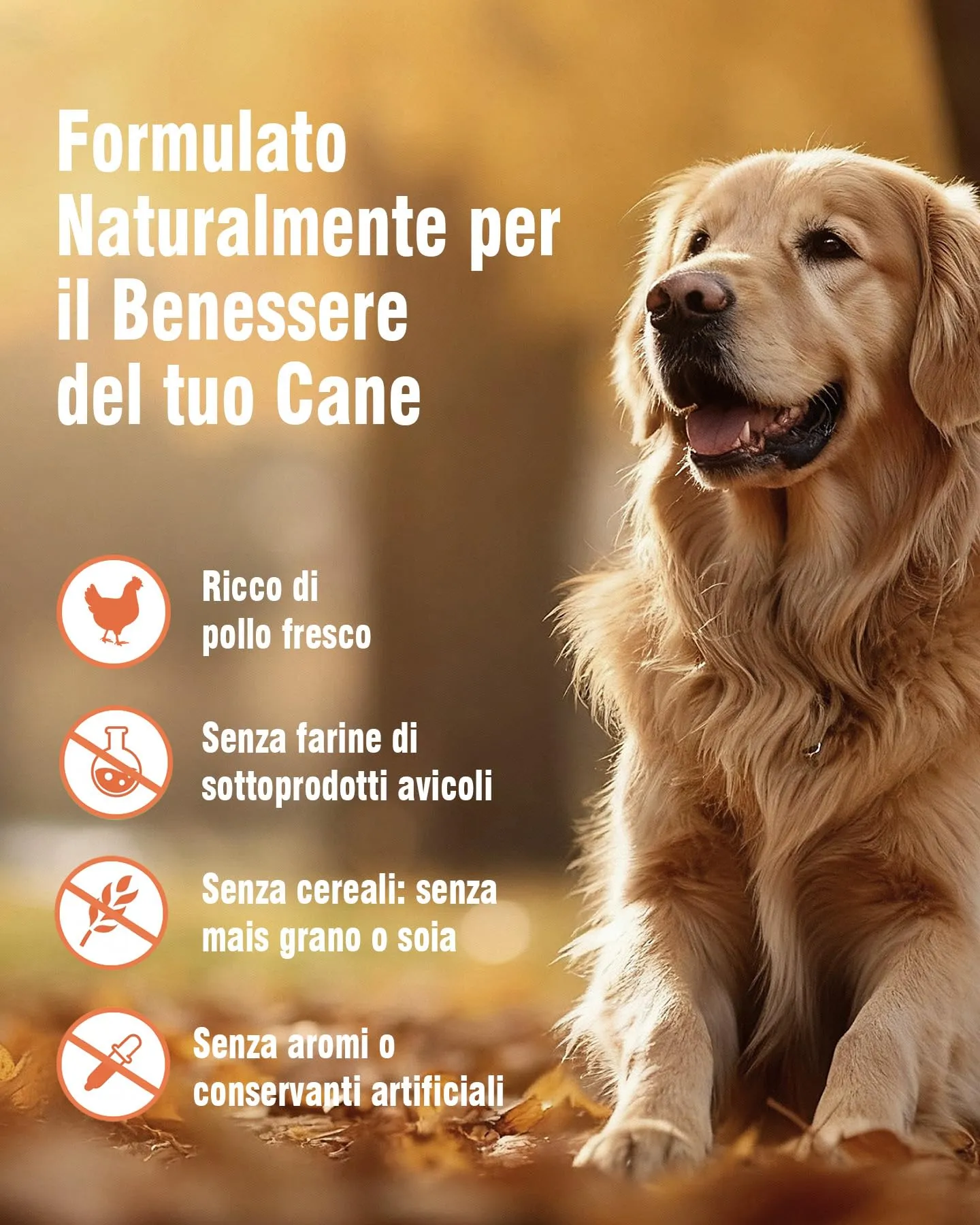 REVER Crocchette per Cani Adulti Senza Cereali con Pollo Fresco - immagine 5