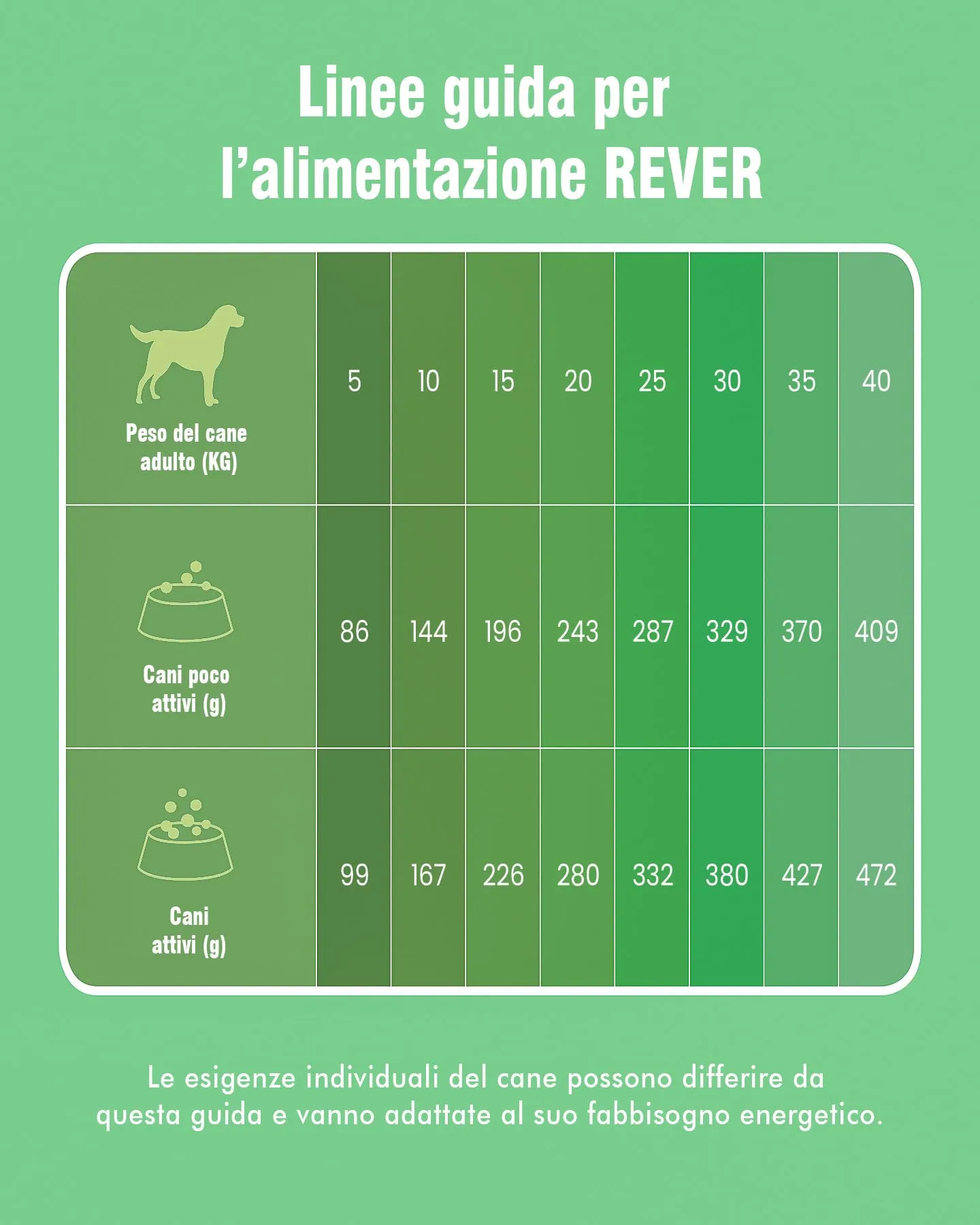 REVER Crocchette per Cani Adulti Senza Cereali con Pollo Fresco - immagine 8