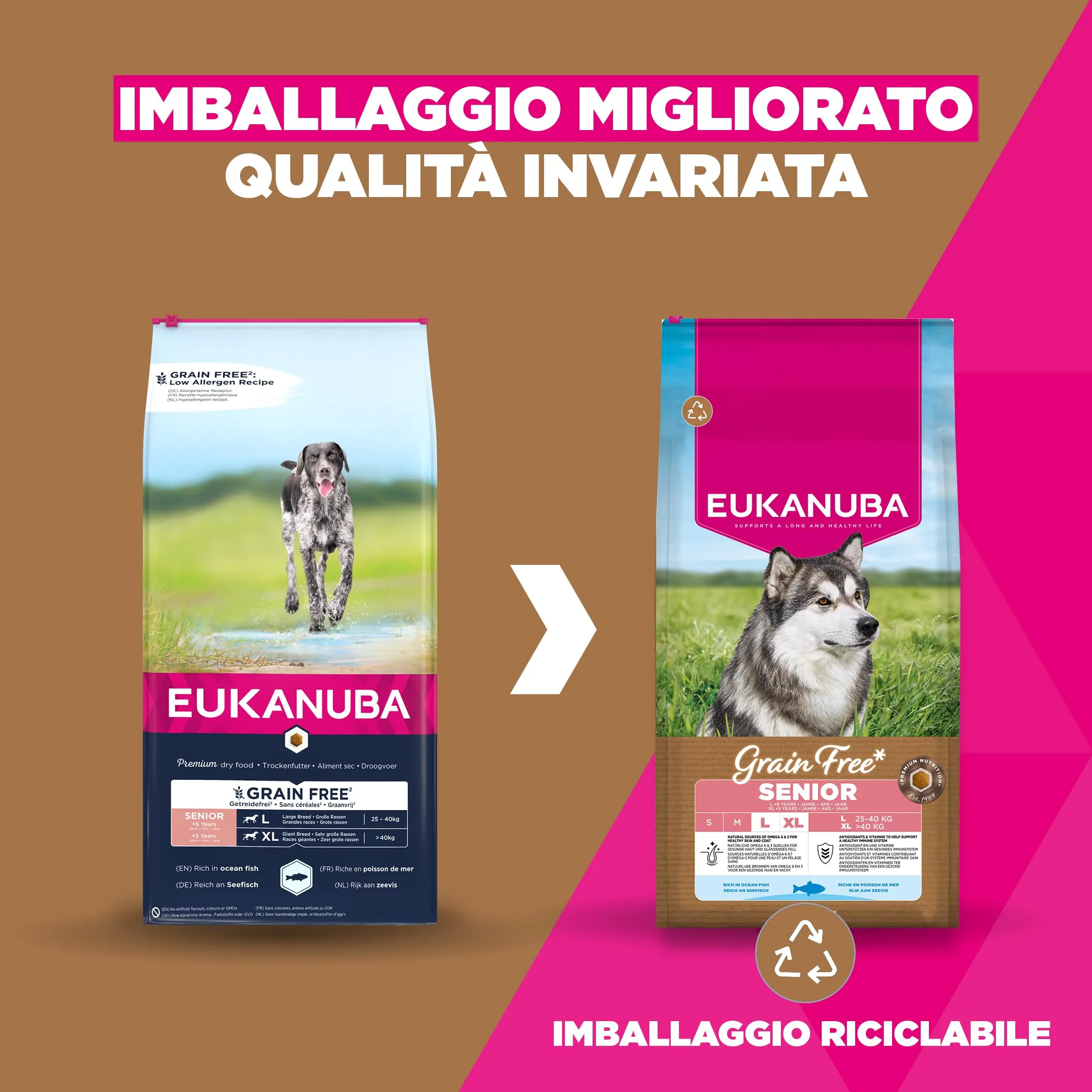 EUKANUBA Crocchette per cani anziani taglia grande con pesce, 12 kg - immagine 2
