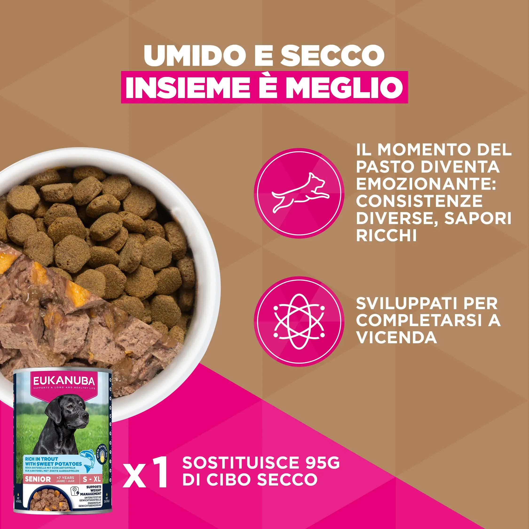 EUKANUBA Crocchette per cani anziani taglia grande con pesce, 12 kg - immagine 7