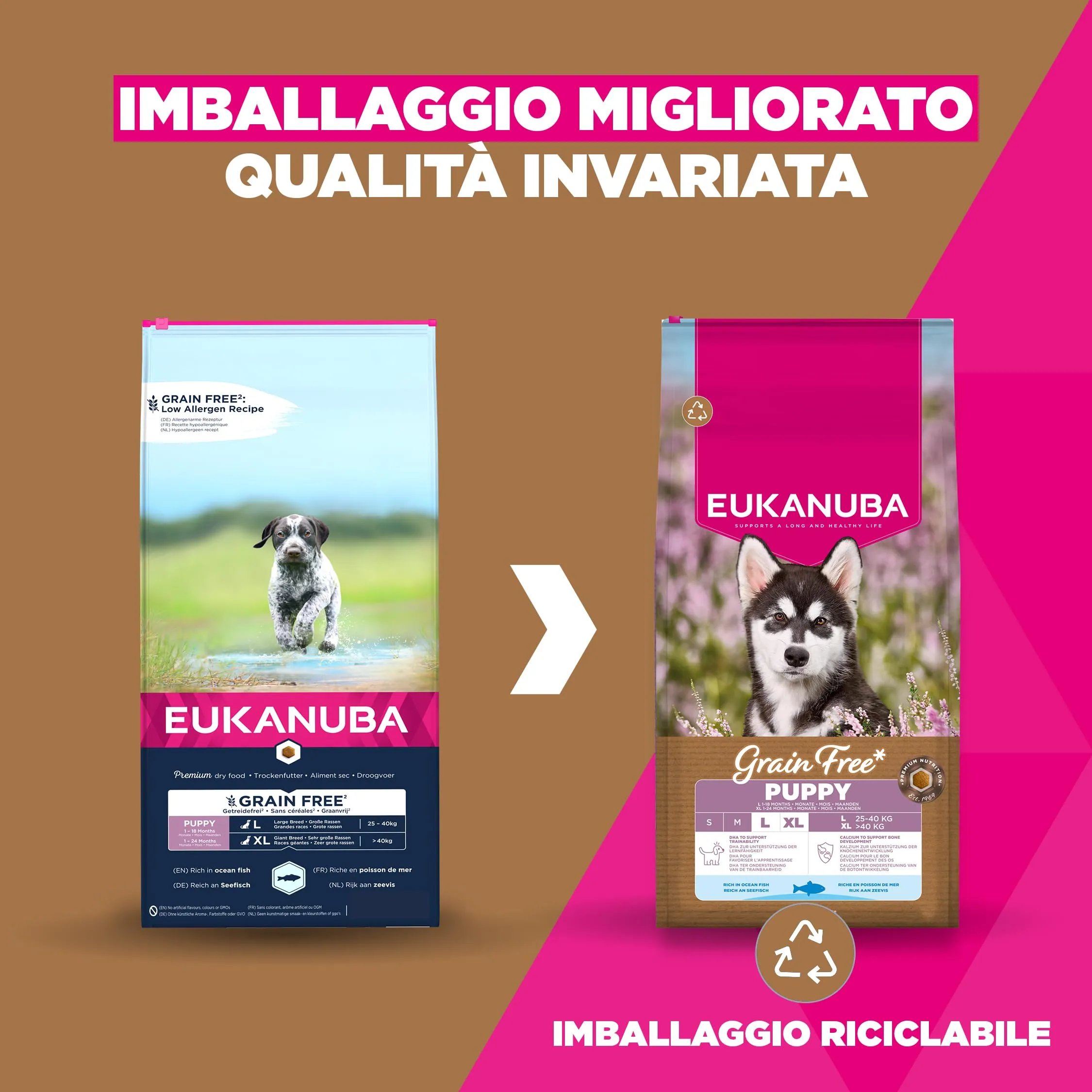 EUKANUBA Crocchette per cuccioli taglia grande con pesce, 3 kg - immagine 2