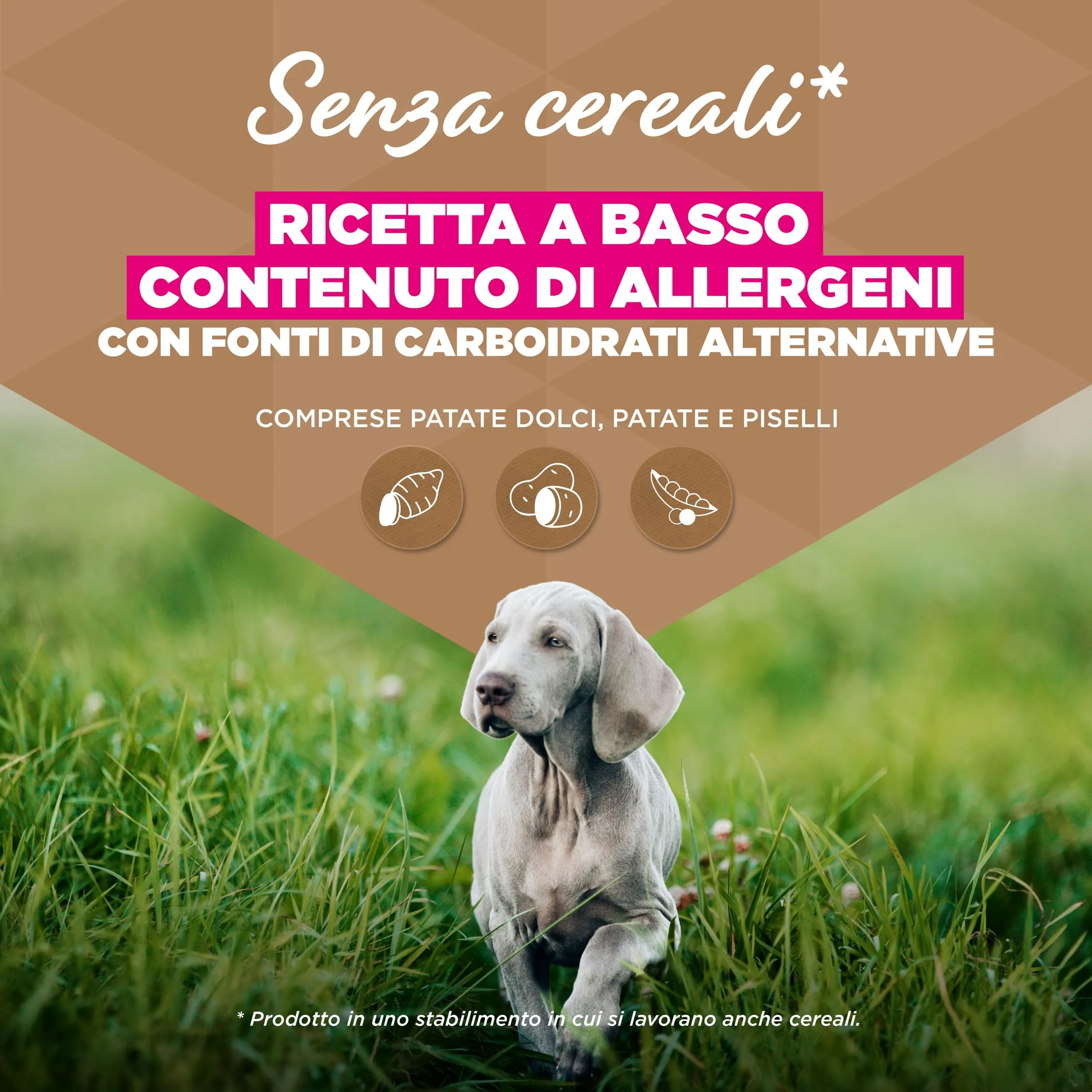 EUKANUBA Crocchette per cuccioli taglia grande con pesce, 3 kg - immagine 3