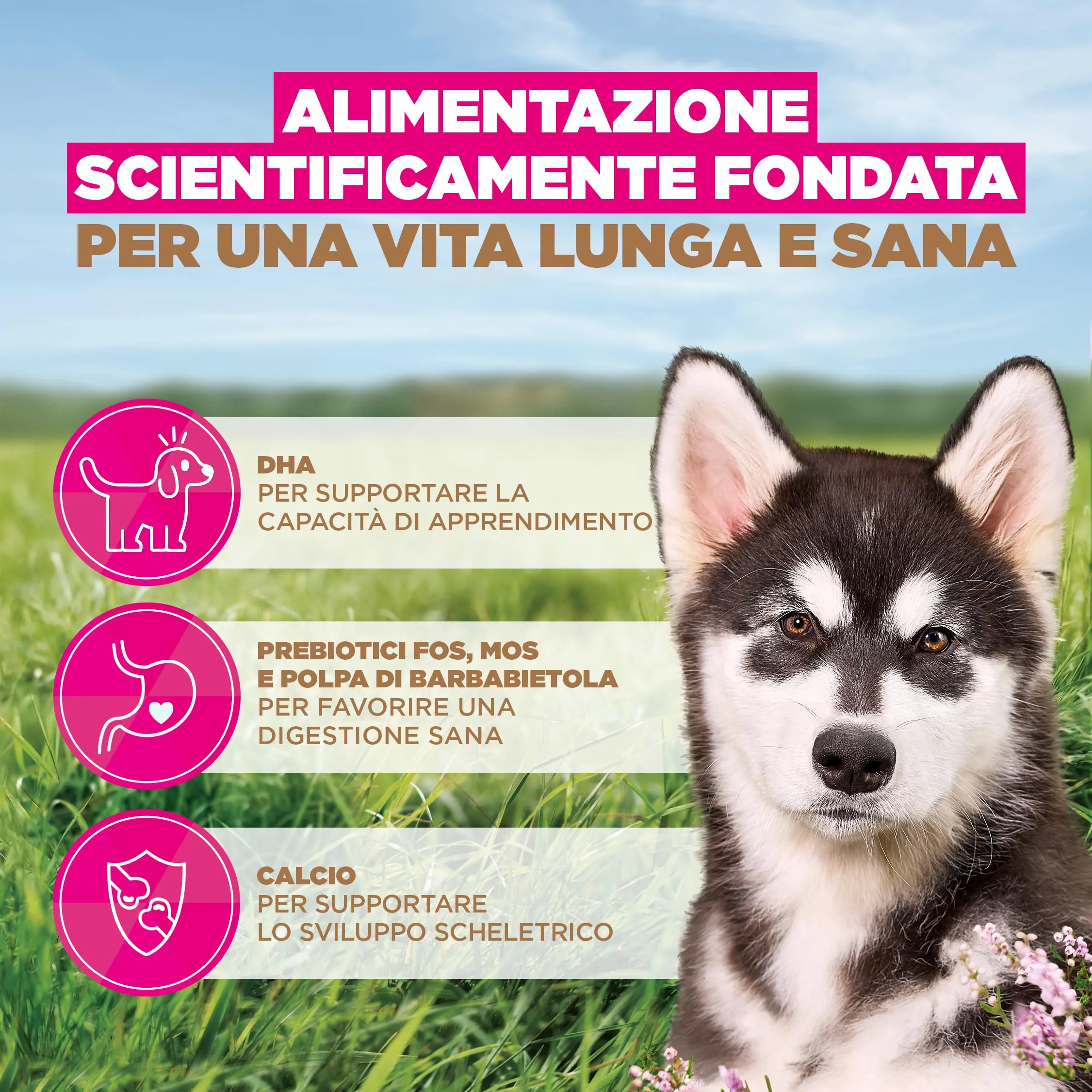 EUKANUBA Crocchette per cuccioli taglia grande con pesce, 3 kg - immagine 5