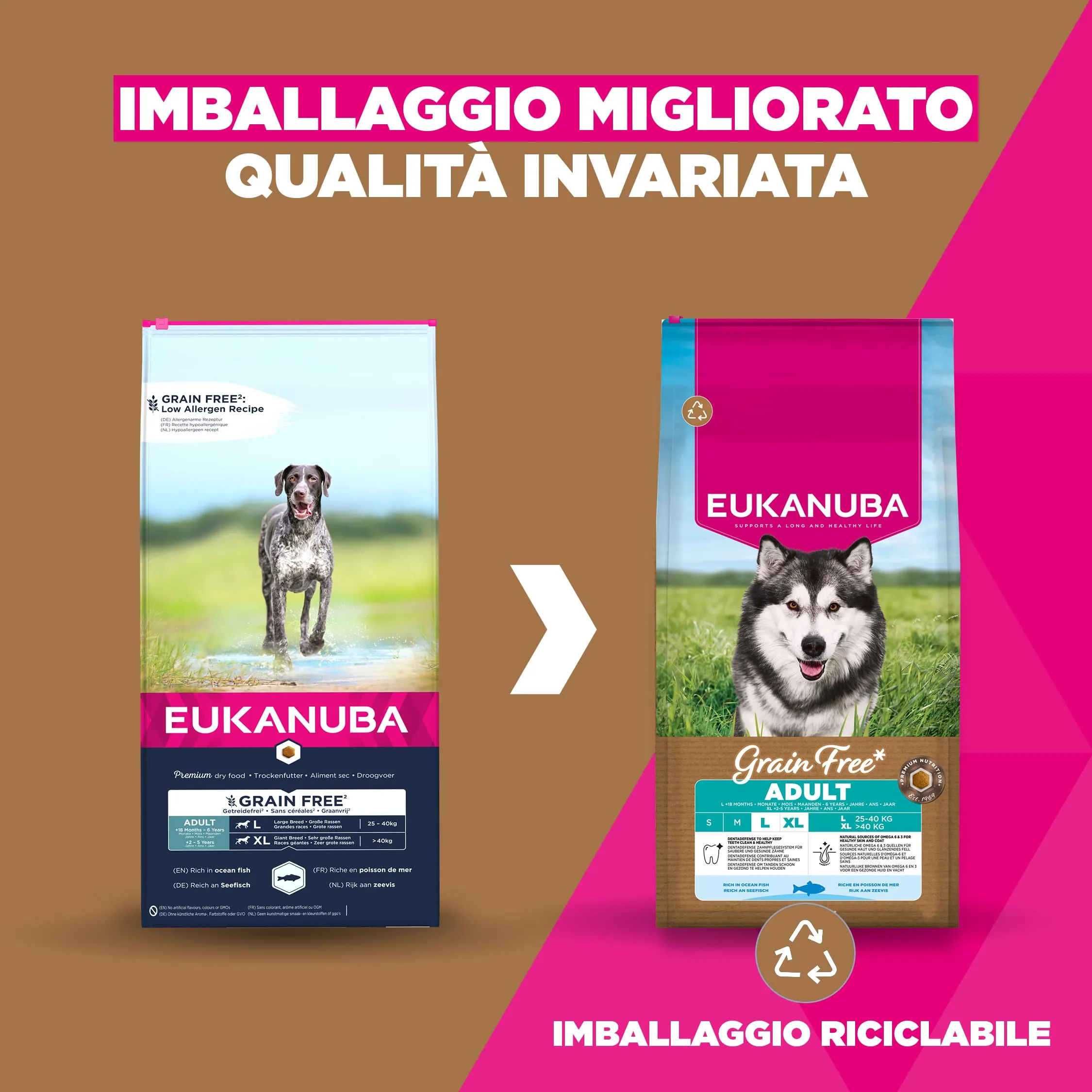 EUKANUBA Crocchette per cani adulti taglia grande con pesce, 3 kg - immagine 2