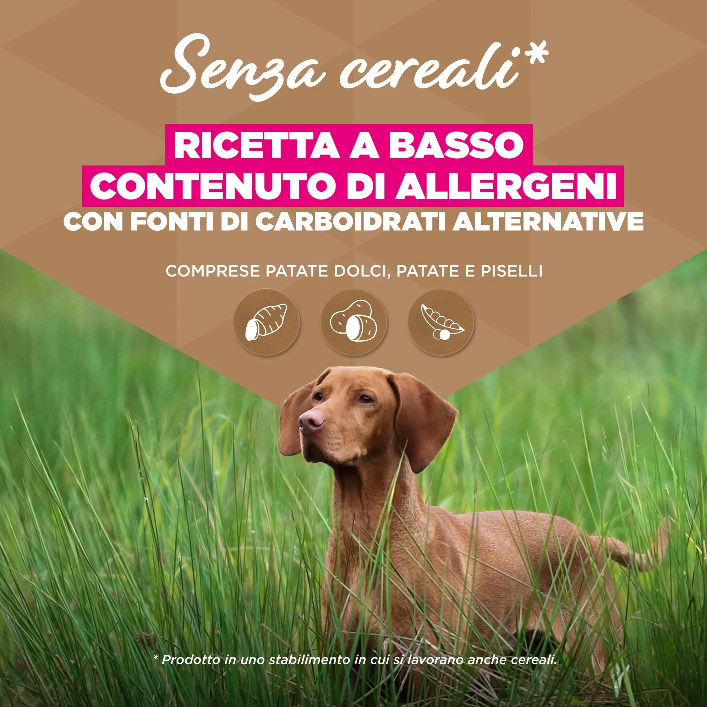 EUKANUBA Crocchette per cani adulti taglia grande con pesce, 3 kg - immagine 3