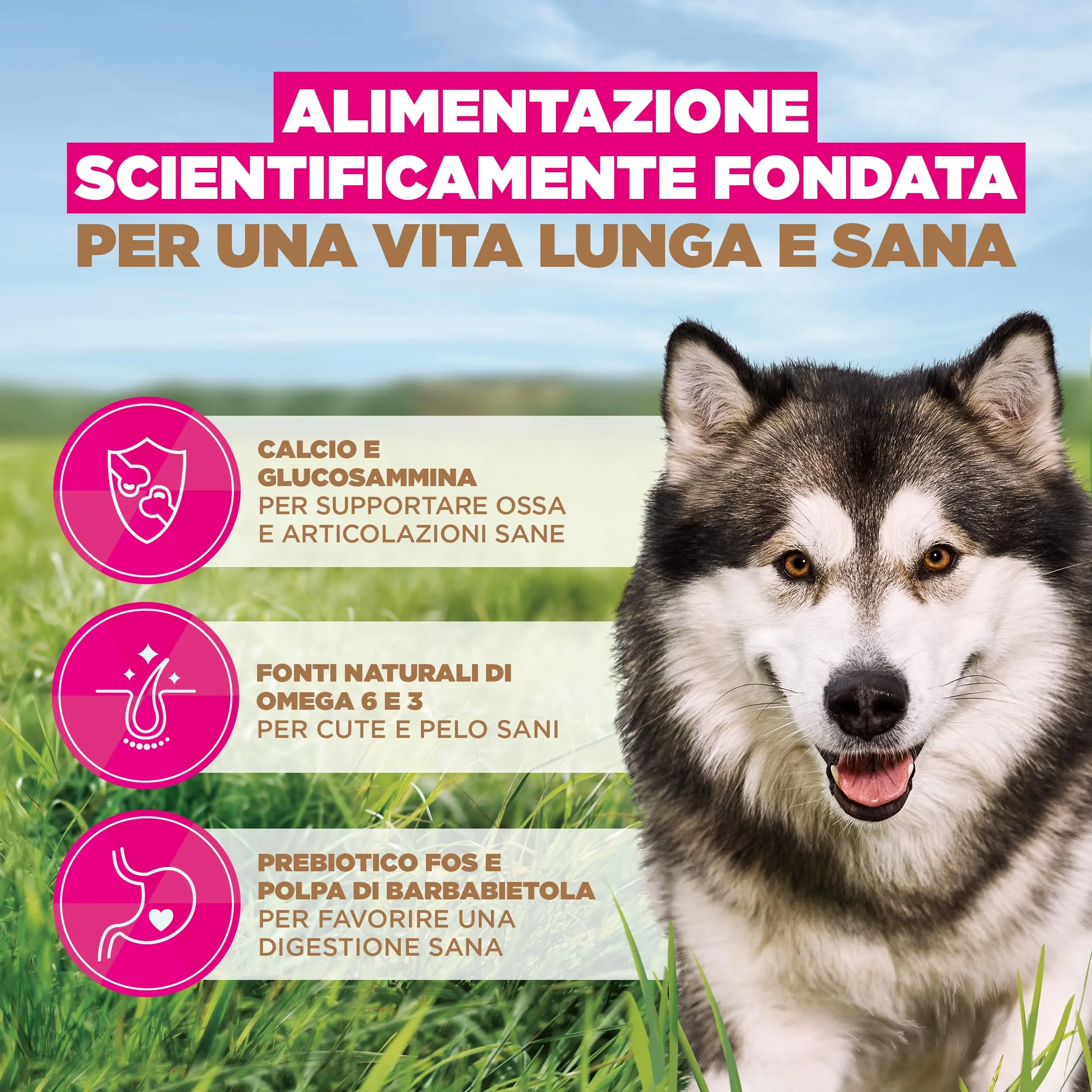 EUKANUBA Crocchette per cani adulti taglia grande con pesce, 3 kg - immagine 5