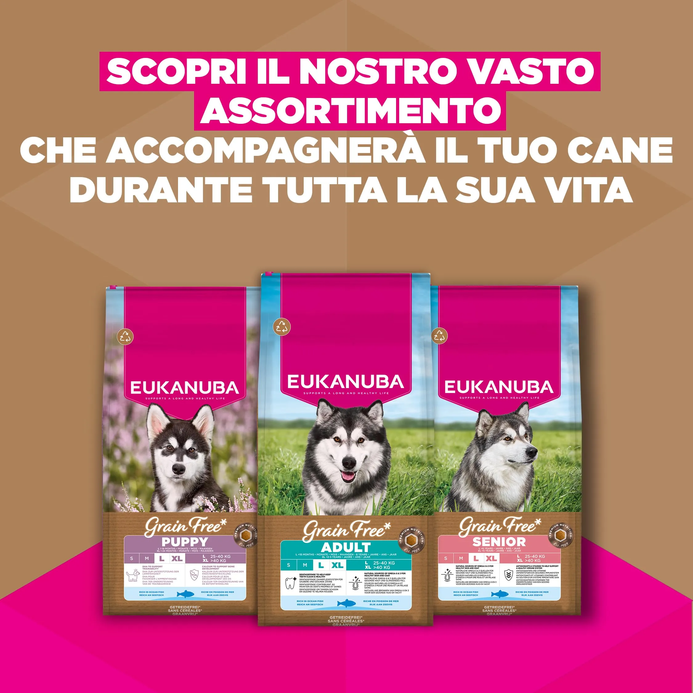 EUKANUBA Crocchette per cani adulti taglia grande con pesce, 3 kg - immagine 9