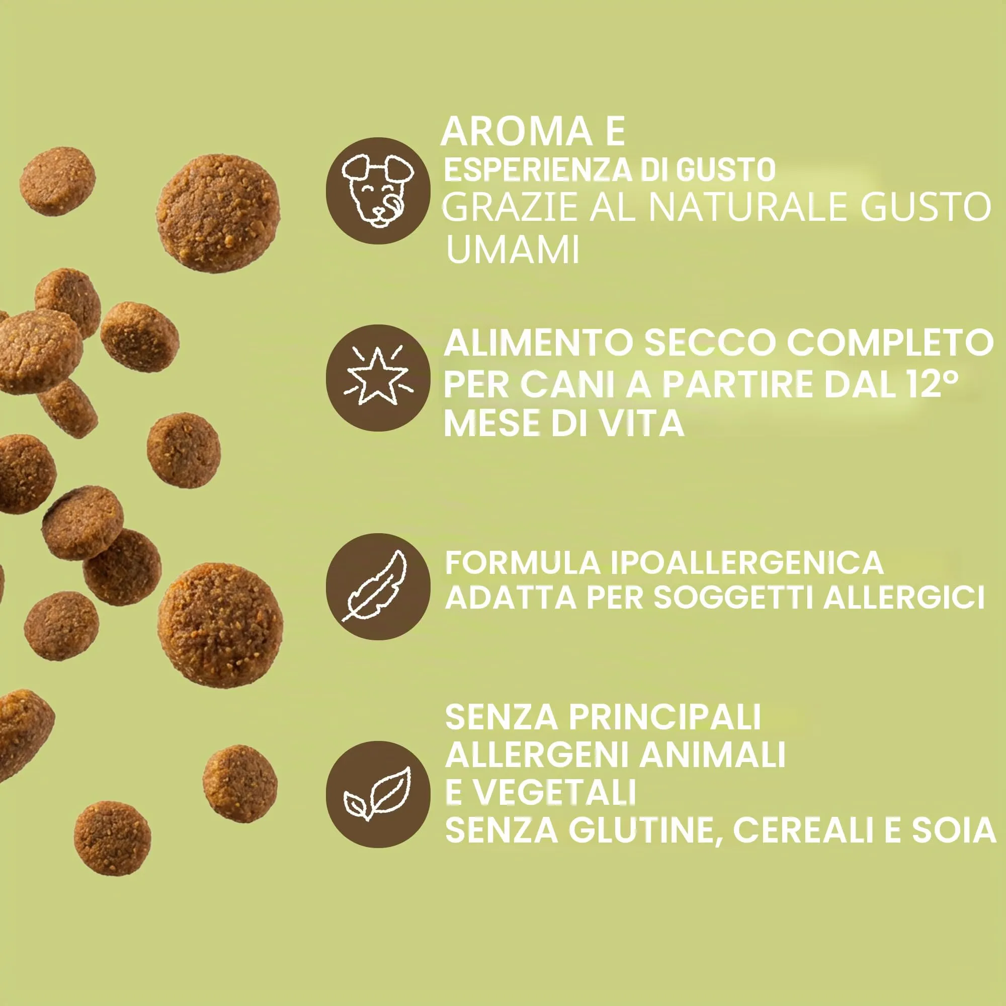 VEGDOG Green Crunch Crocchette Ipoallergeniche (10 kg) | Cani Adulti | Senza Glutine, Cereali e Soia | Alimento Completo con Proteine di Piselli - immagine 3