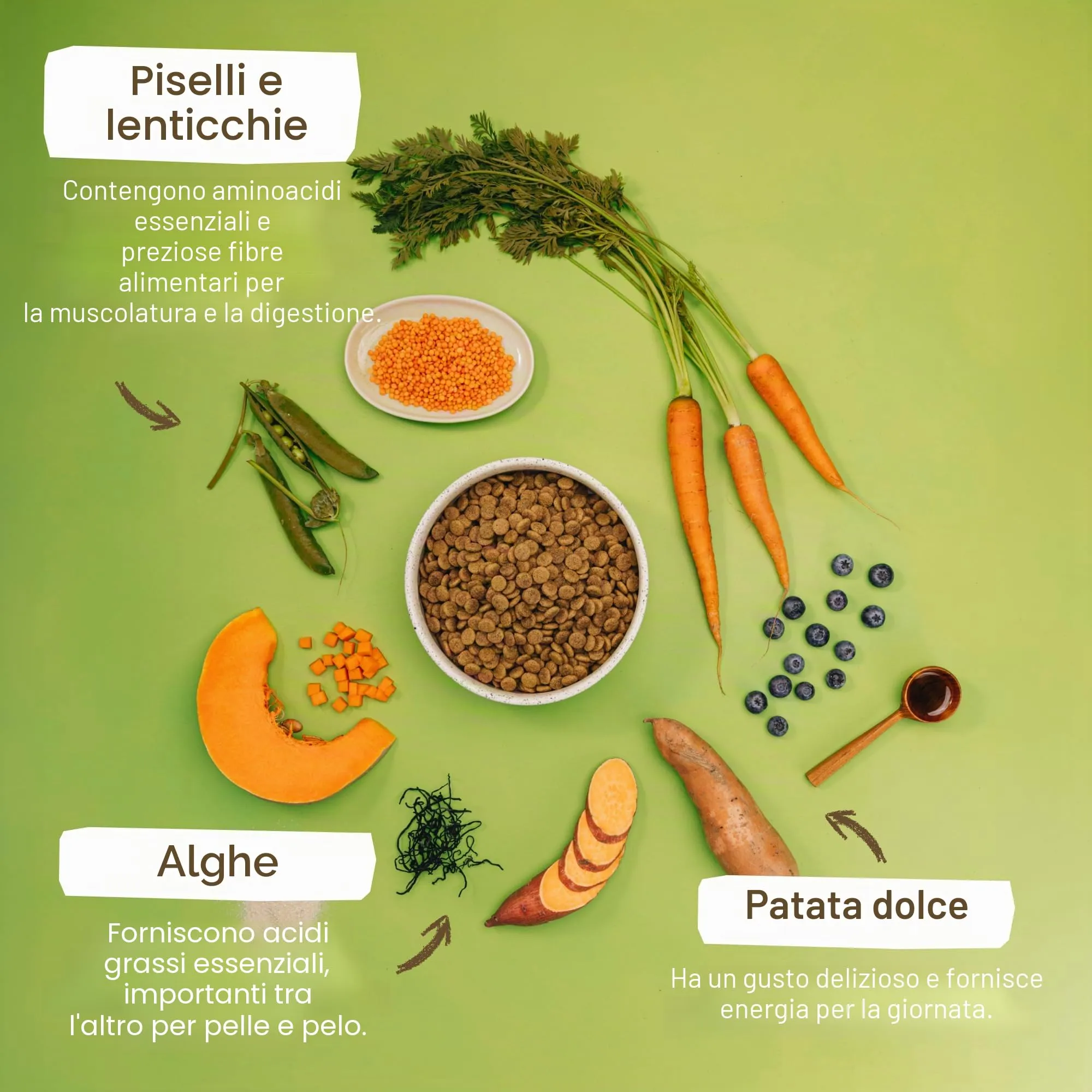 VEGDOG Green Crunch Crocchette Ipoallergeniche (10 kg) | Cani Adulti | Senza Glutine, Cereali e Soia | Alimento Completo con Proteine di Piselli - immagine 4