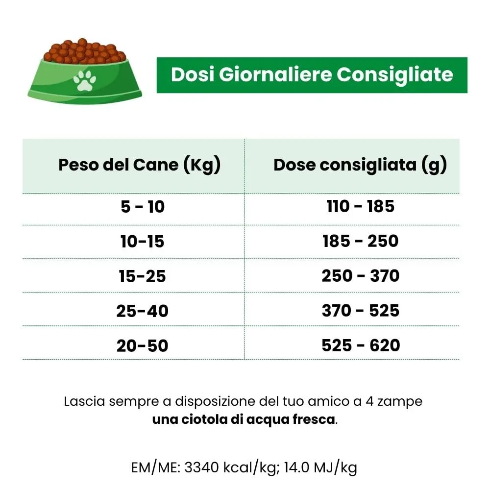 DeliVit Adult Mantenimento - Crocchette per Cani Adulti 20kg – Con Carne, Fibre e Cereali – Made in Italy (40 kg) - immagine 4
