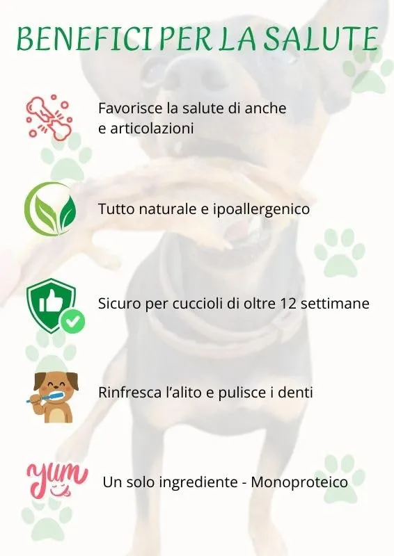 Zampe d’anatra per Cani- 1000 gr, tra 60 e 70 unità circa - immagine 3