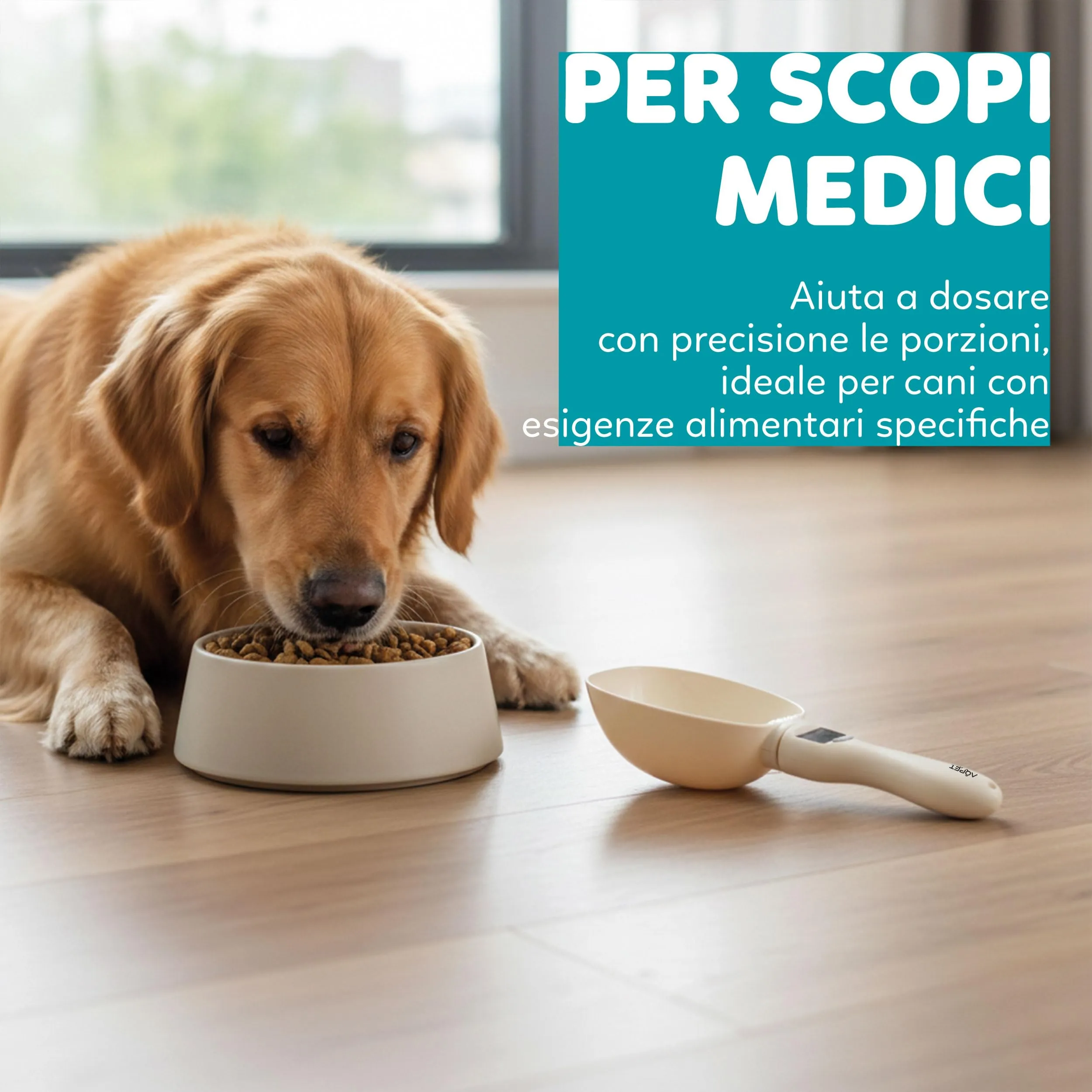AQPET Friends Bilancino Digitale per Crocchette con Cucchiaio 800 g, Bianco - immagine 2
